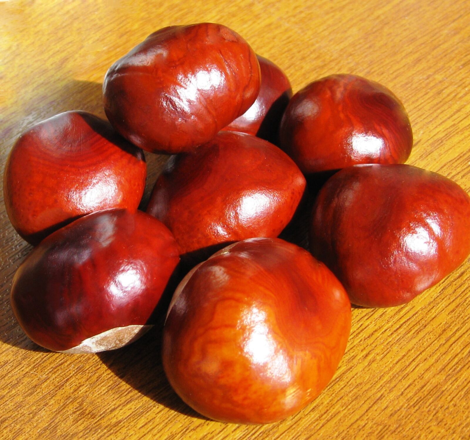 Canon EOS 550D (EOS Rebel T2i / EOS Kiss X4) sample photo. Food, chestnut, nuts photography