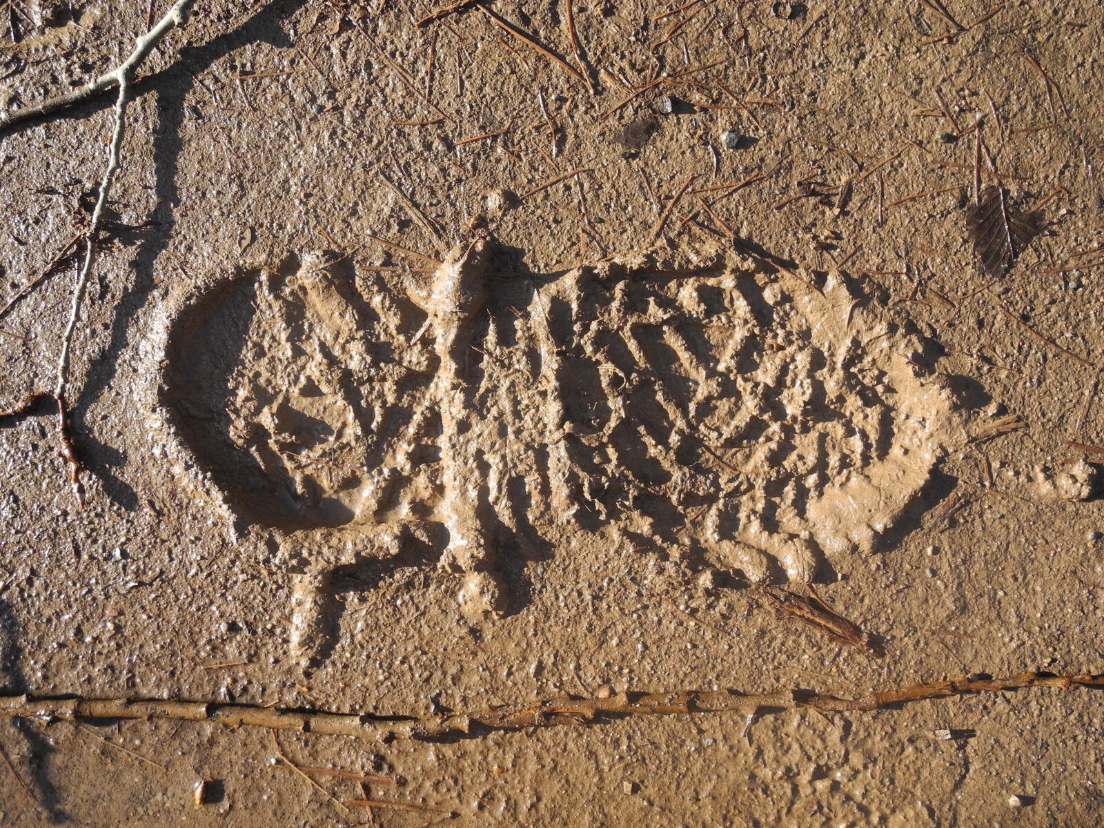 Nikon Coolpix P7000 sample photo. Track, print, footprint footprint photography