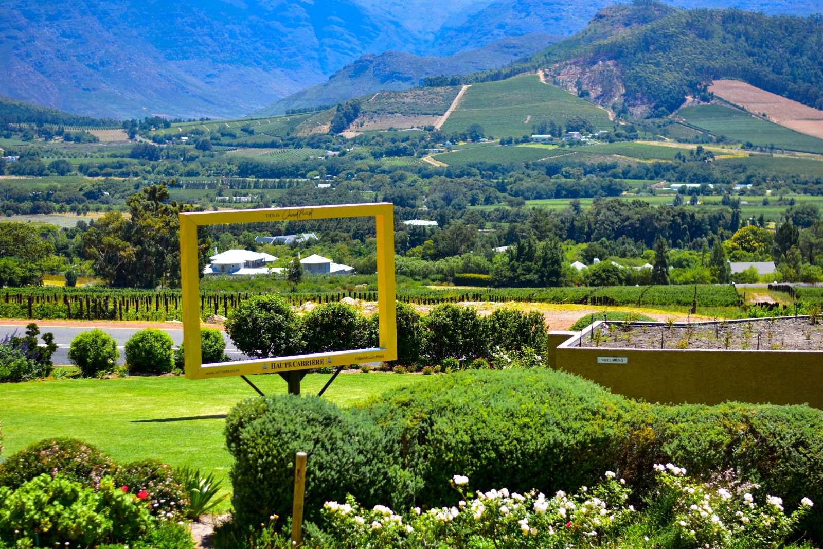 Nikon D5500 sample photo. Haute cabriere, wine estate photography