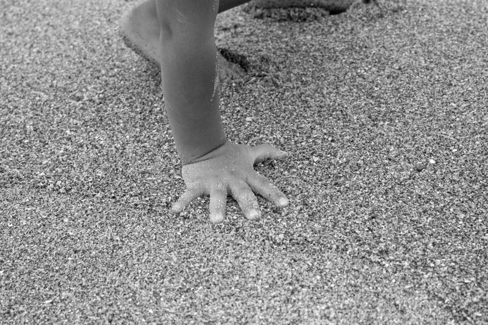 Canon EOS 700D (EOS Rebel T5i / EOS Kiss X7i) sample photo. Sand, hand, beach photography
