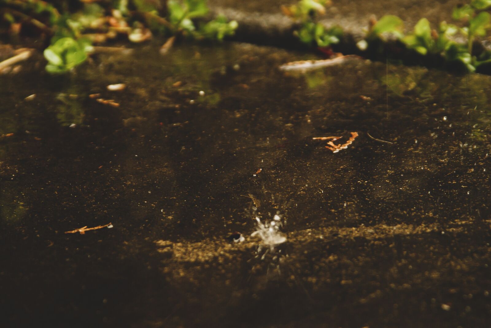 Sony Alpha DSLR-A200 sample photo. Splash, sploosh, concrete photography
