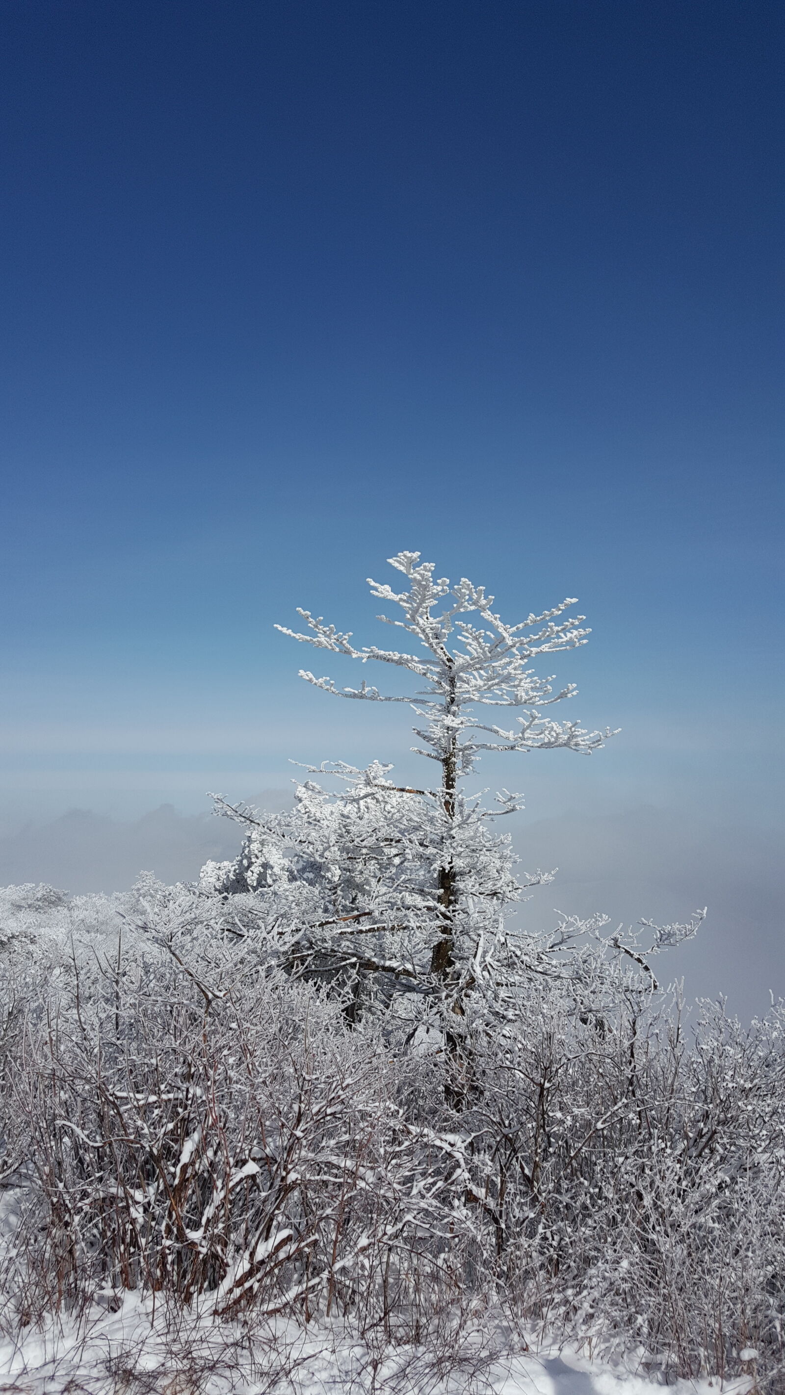 Samsung Galaxy Note5 sample photo. Korea, mountain, taebaeksan, winter photography