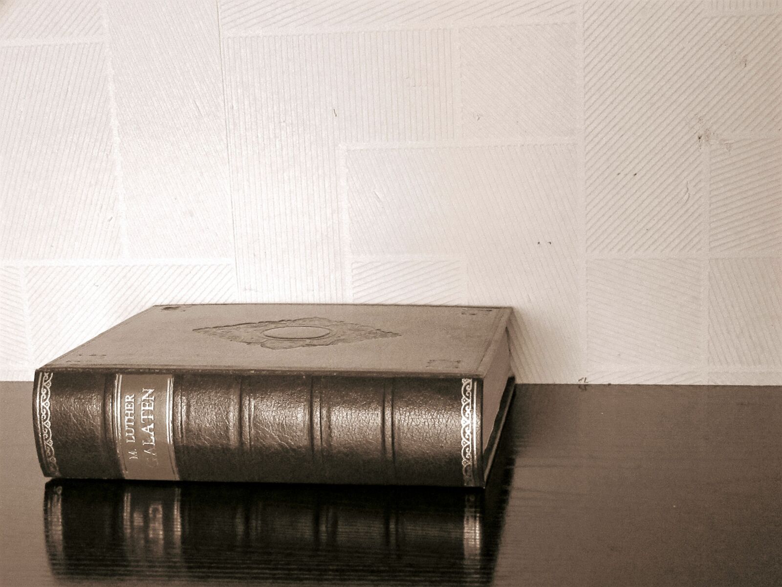 Canon PowerShot SX610 HS sample photo. Sepia, luther, book photography