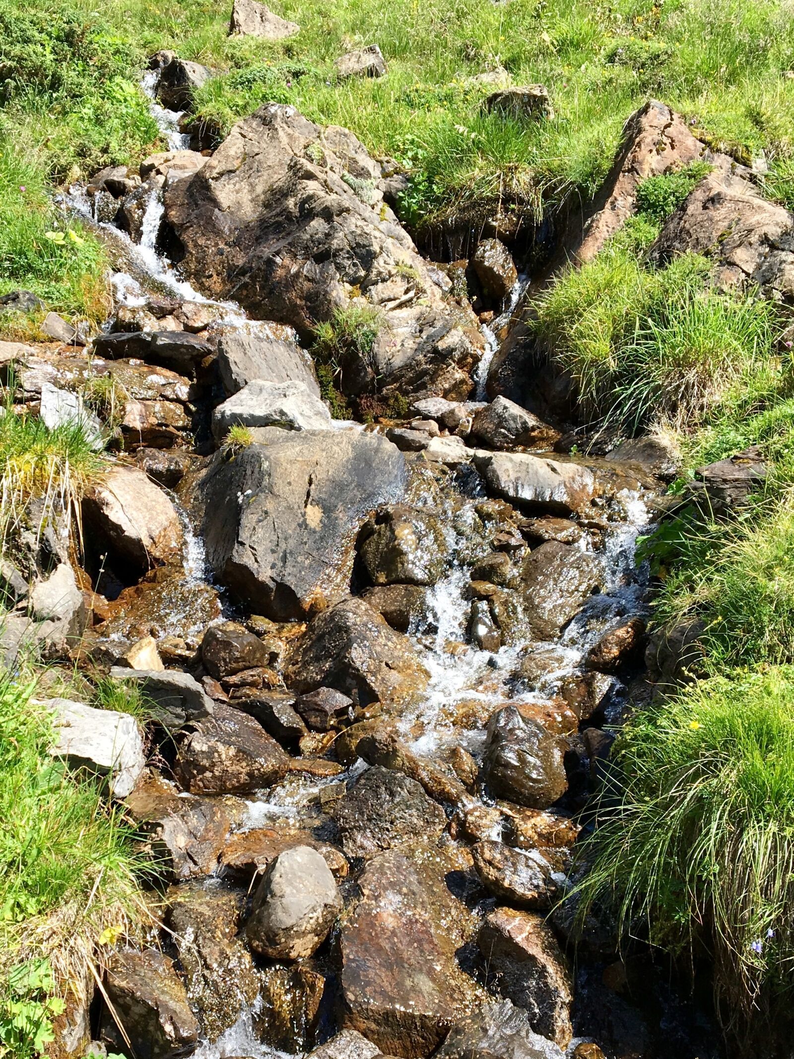 Apple iPhone 6s sample photo. Mountain stream, alpine, landscape photography