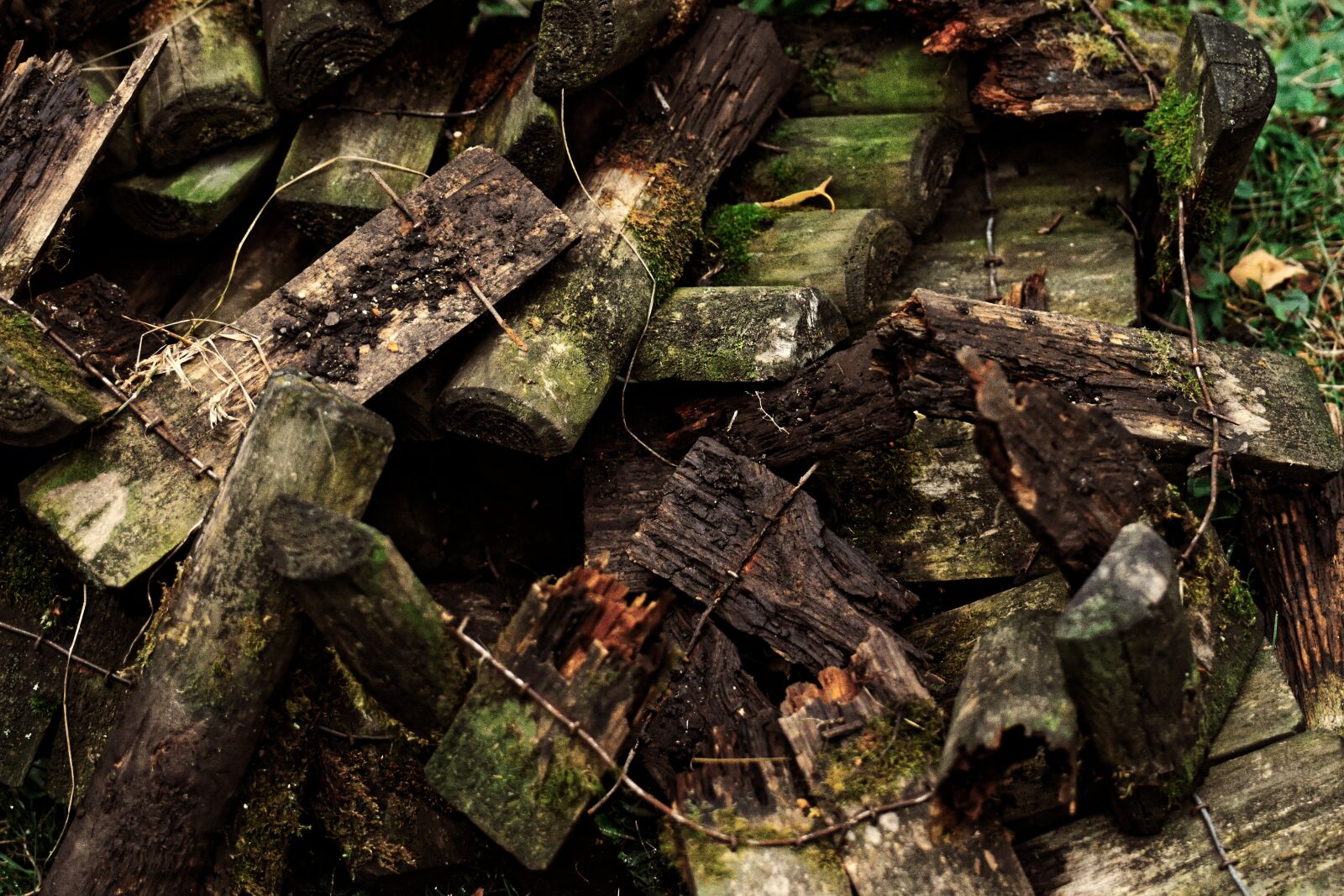 Nikon D7200 sample photo. Wood, broken, fence photography