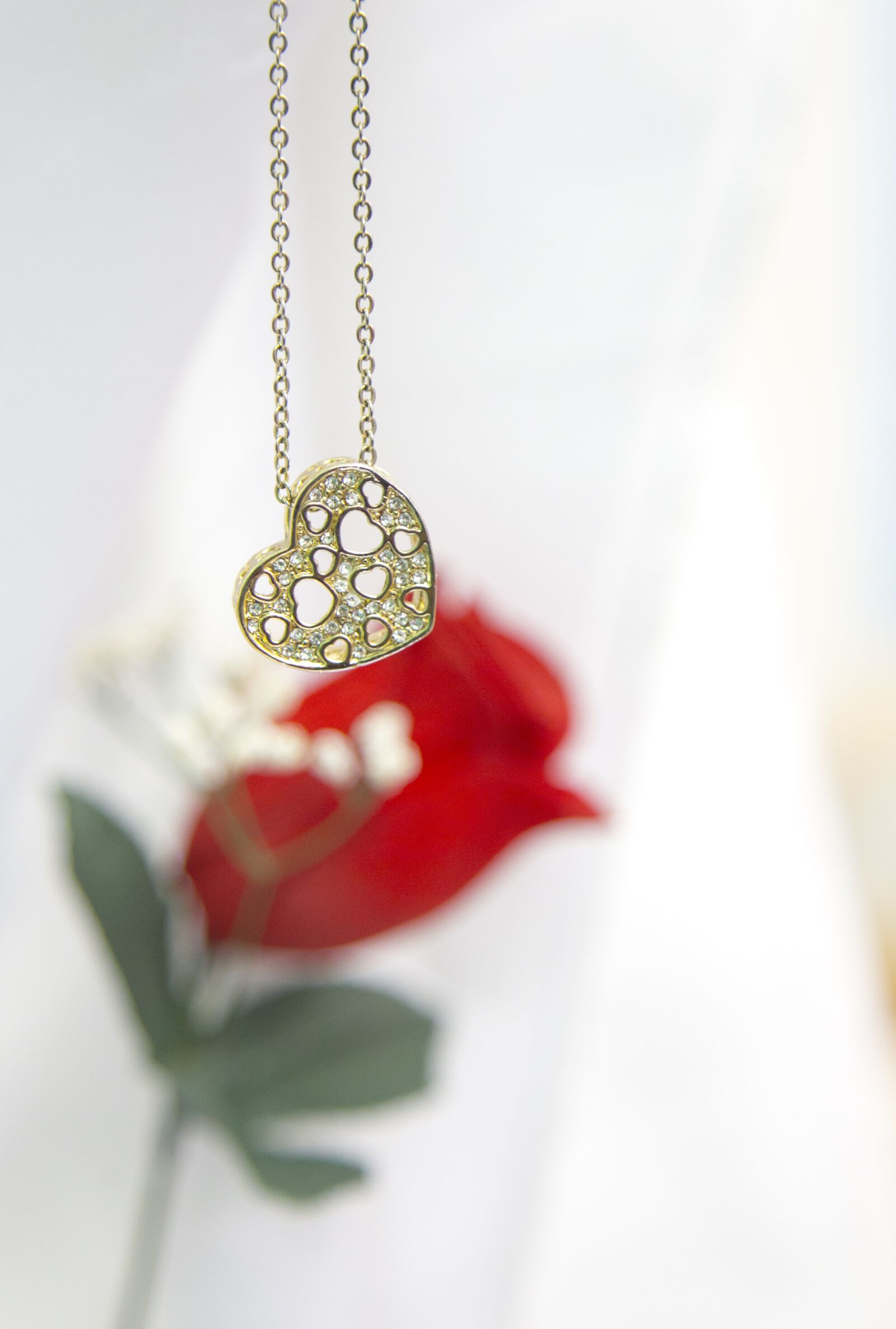 Canon EOS 6D + Canon EF 24-105mm F4L IS USM sample photo. Flower, heart, gold photography