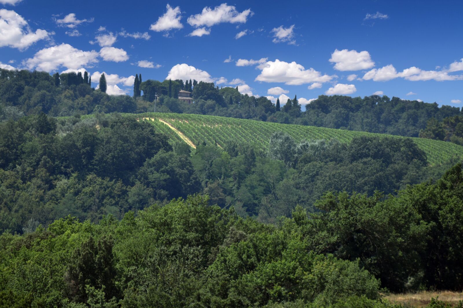 Nikon D750 sample photo. Italy, toscana, green photography