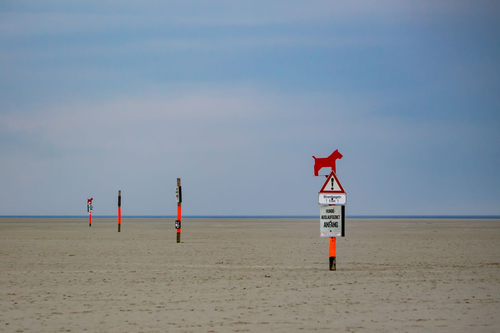 Canon EOS 700D (EOS Rebel T5i / EOS Kiss X7i) sample photo. Beach, barks, red photography