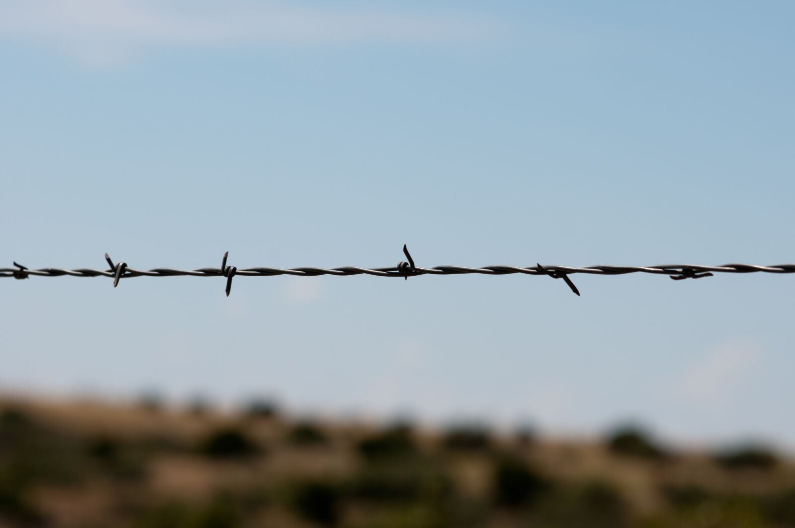 Nikon D300S sample photo. Barbed wire, fence, sharp photography