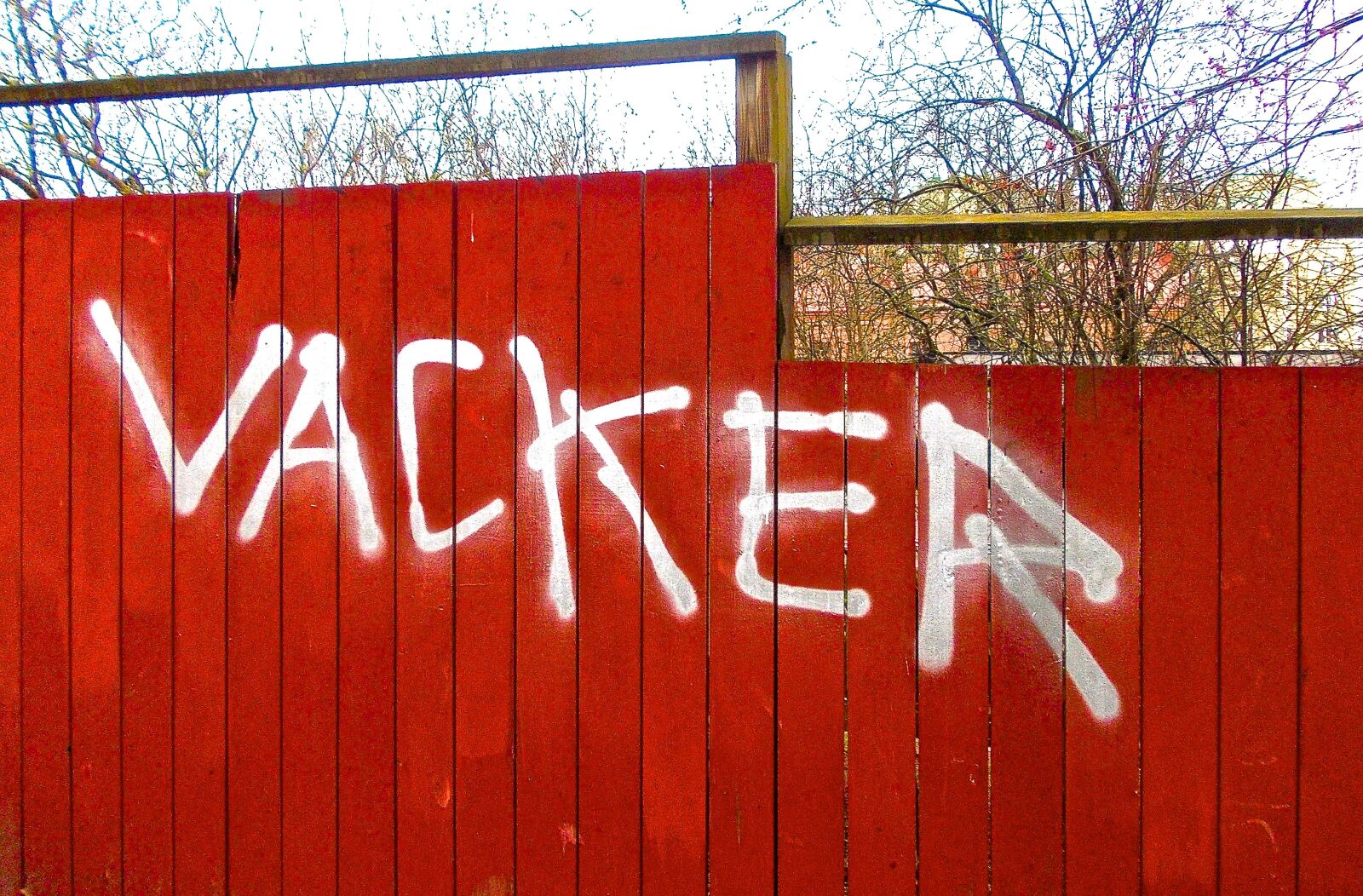 Nikon COOLPIX L25 sample photo. Fence, beautiful, graffiti photography