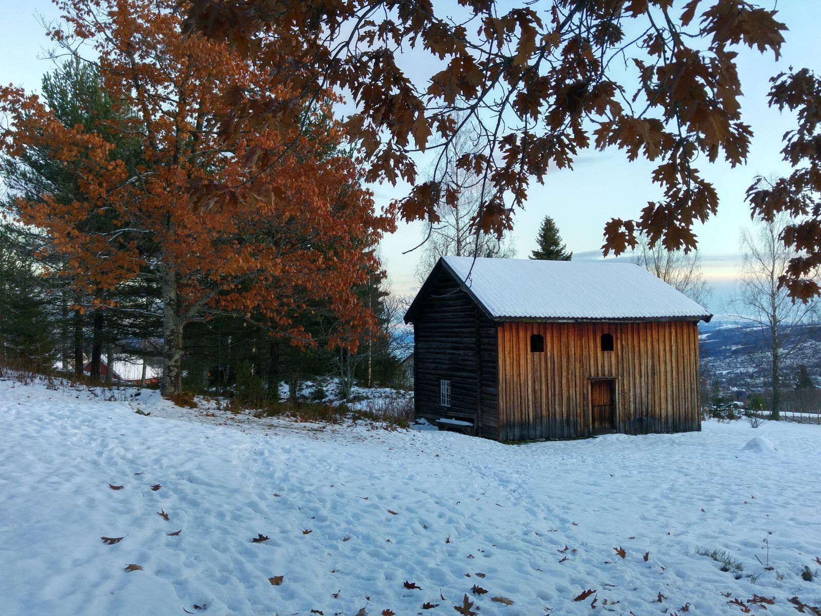 LG G4 sample photo. Farm, winter, nature photography