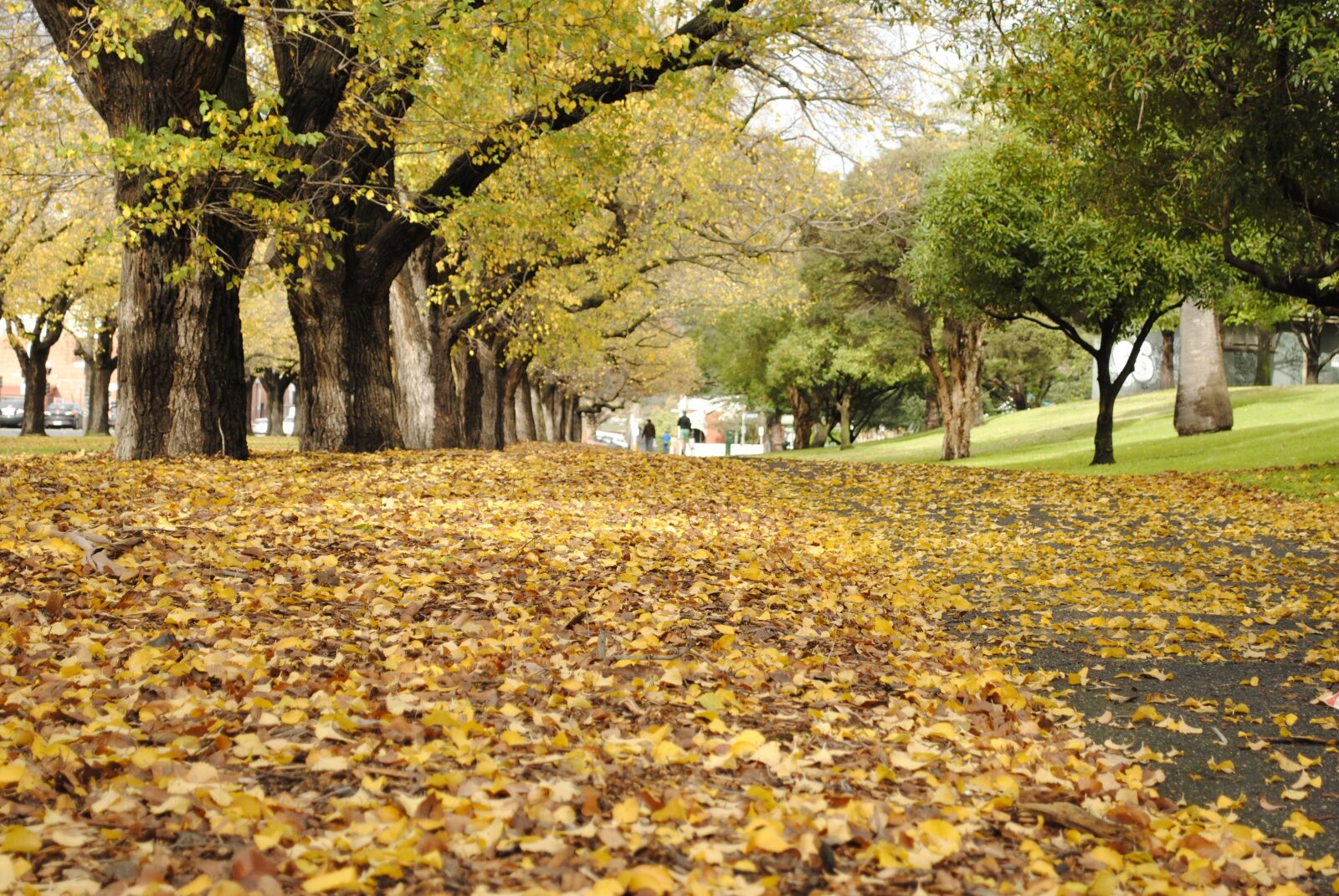 Nikon D3000 sample photo. Autumn, landscape, nature photography