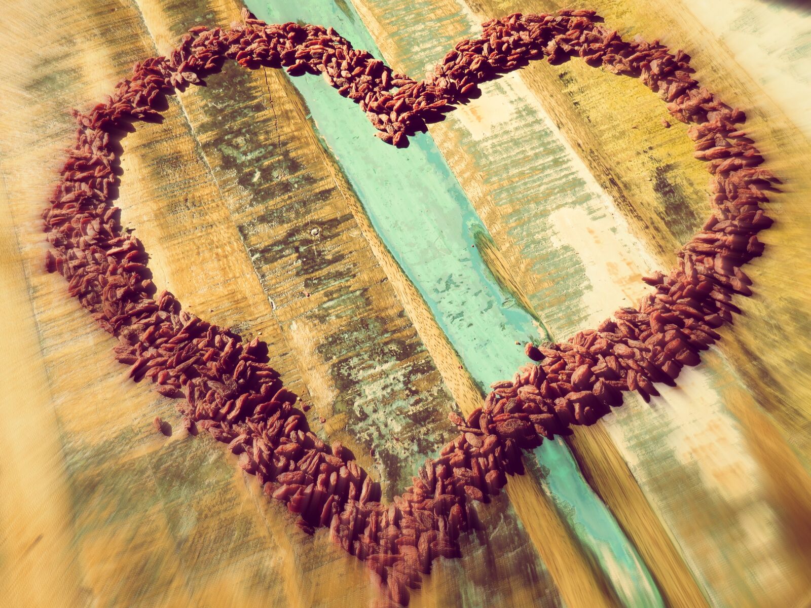 Canon PowerShot SX60 HS sample photo. Heart, love, feeling photography