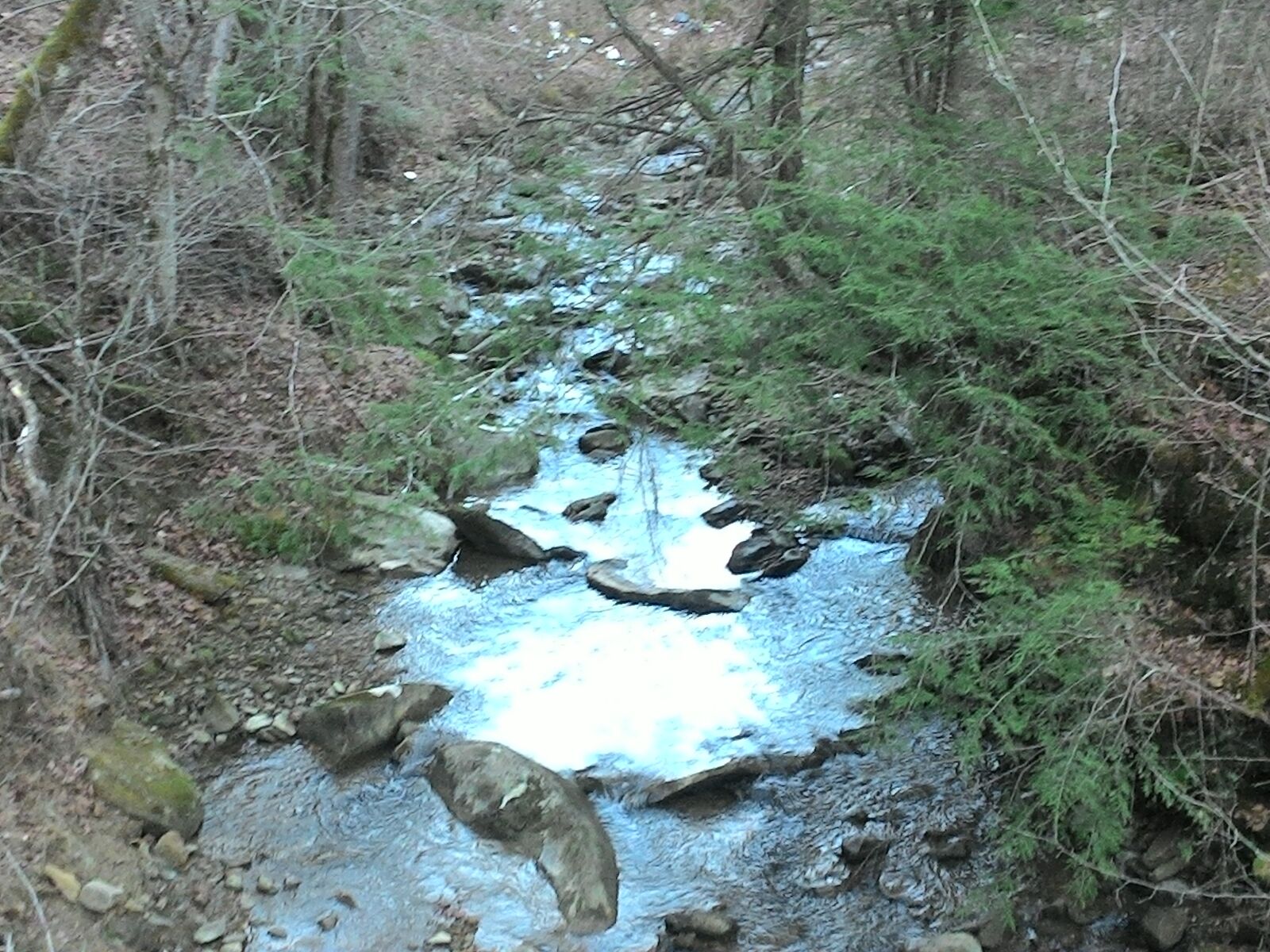 ASUS ZenFone 2 (ZE500CL) sample photo. Creek photography