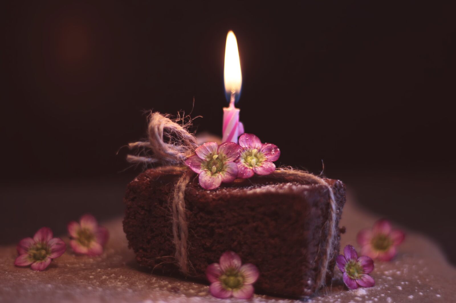 Canon EF 50mm F1.8 STM sample photo. Brownie, cake, greeting card photography
