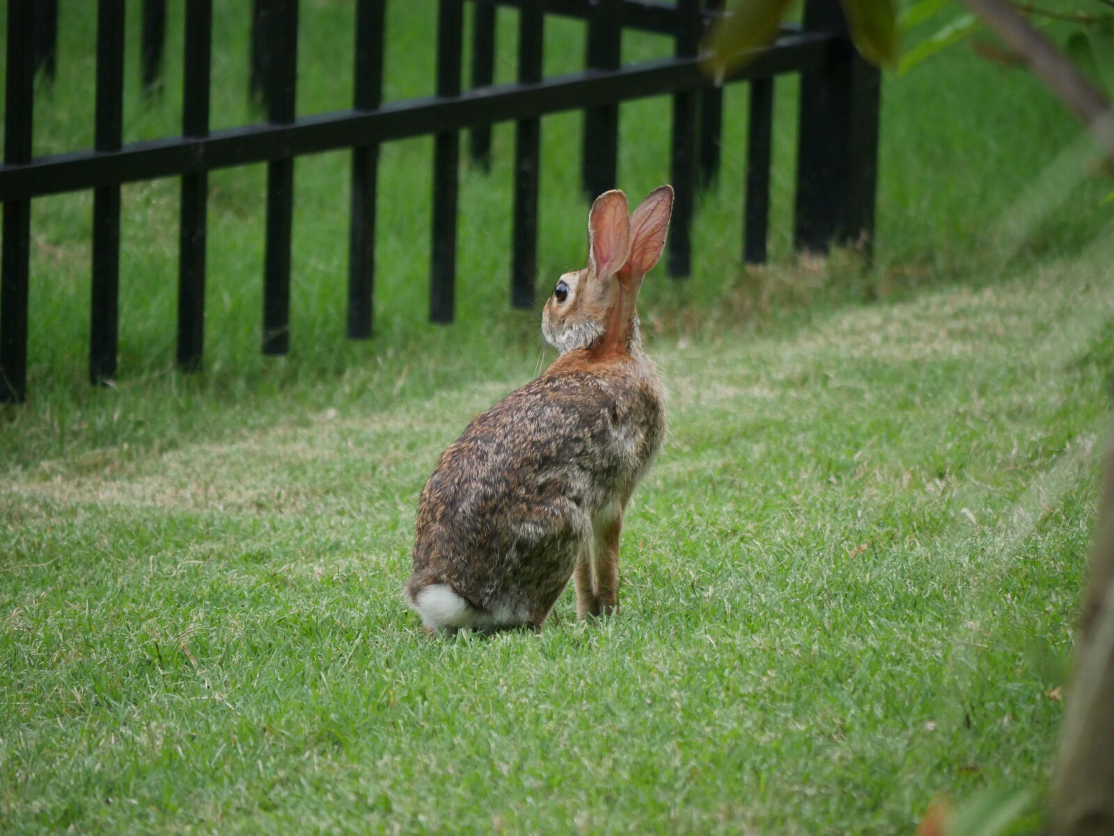 Panasonic Lumix DMC-G7 sample photo
