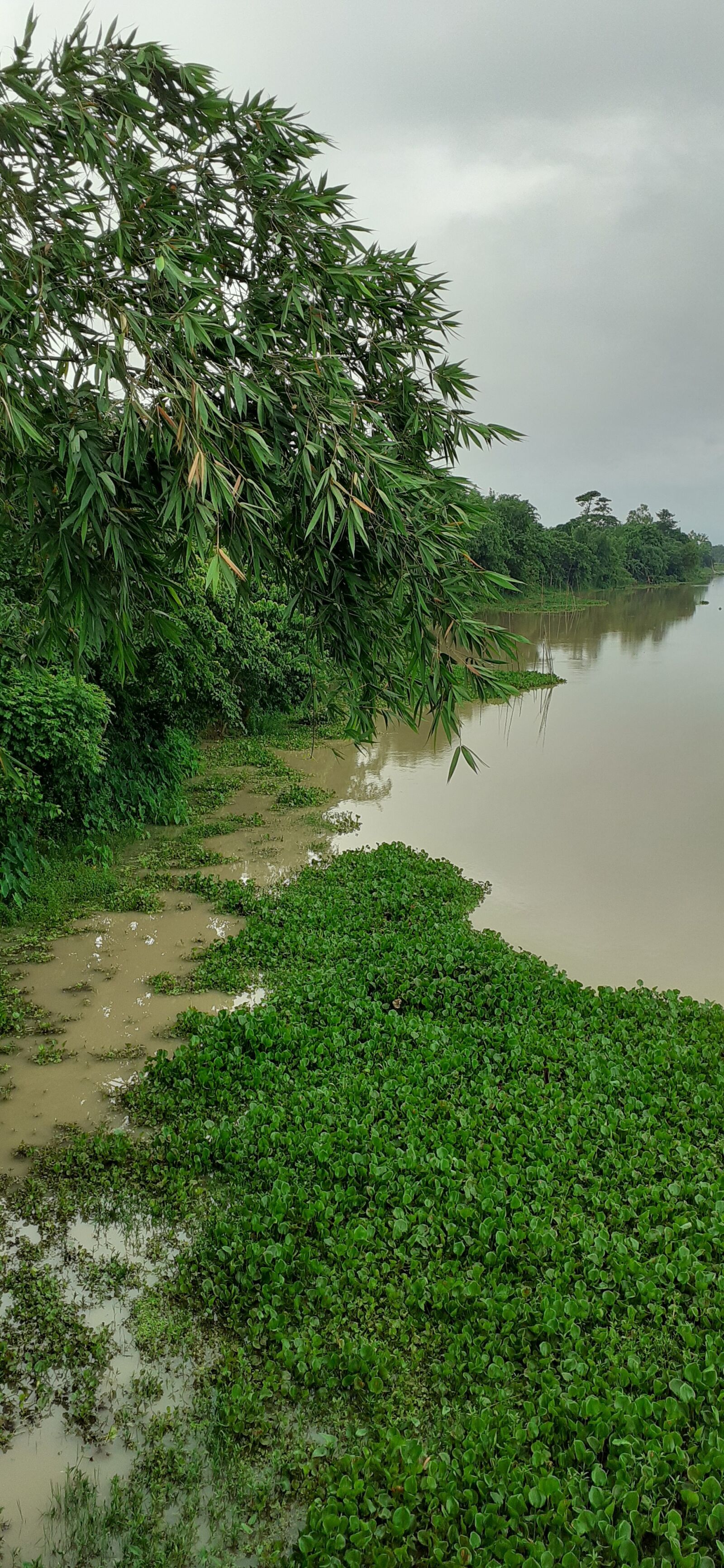 Samsung SM-M205F sample photo. River side, river, water photography