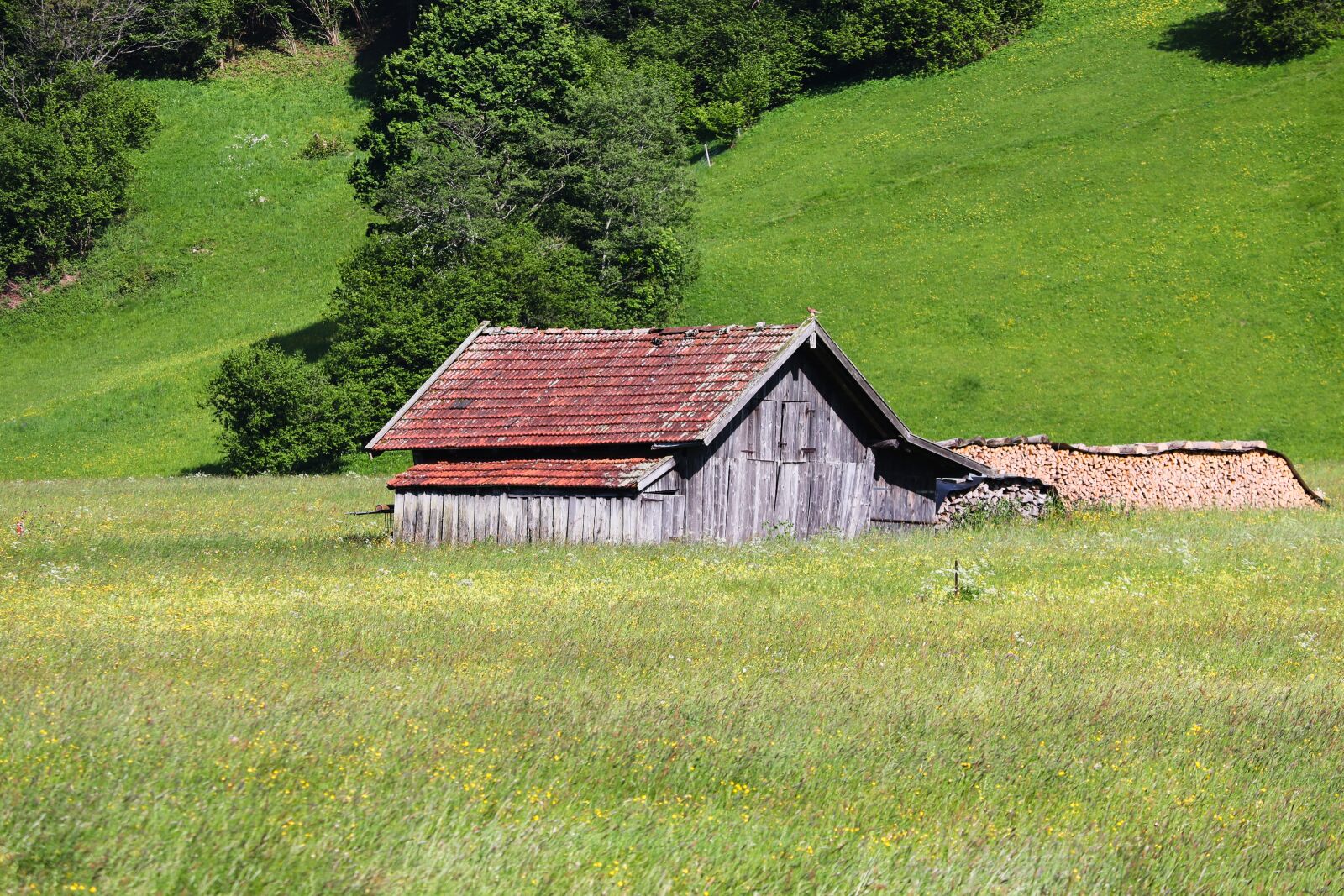 Canon EOS 200D (EOS Rebel SL2 / EOS Kiss X9) sample photo. Hut, log cabin, food photography