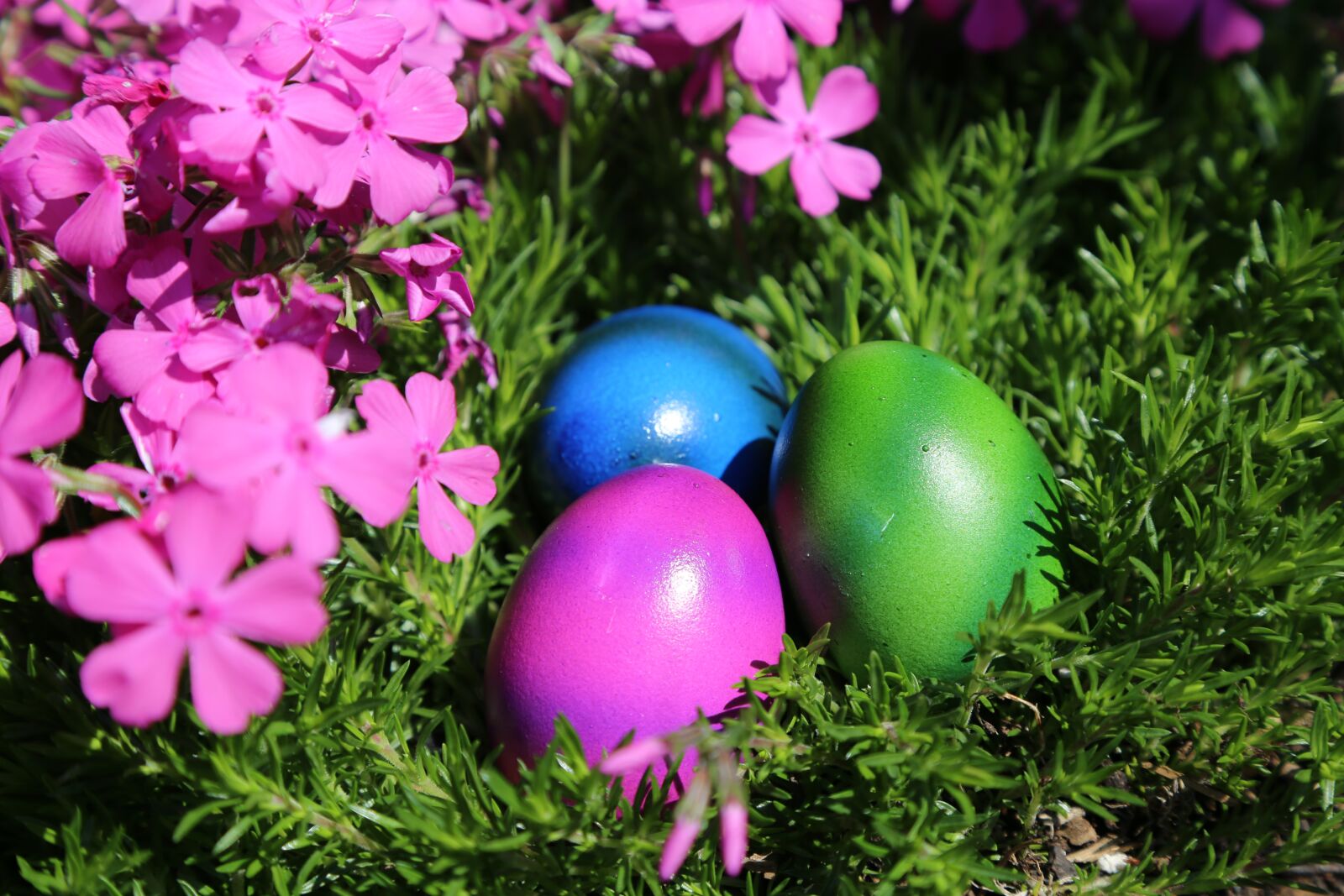 Canon EOS 6D + Canon EF 24-105mm F4L IS USM sample photo. Easter, easter nest, egg photography