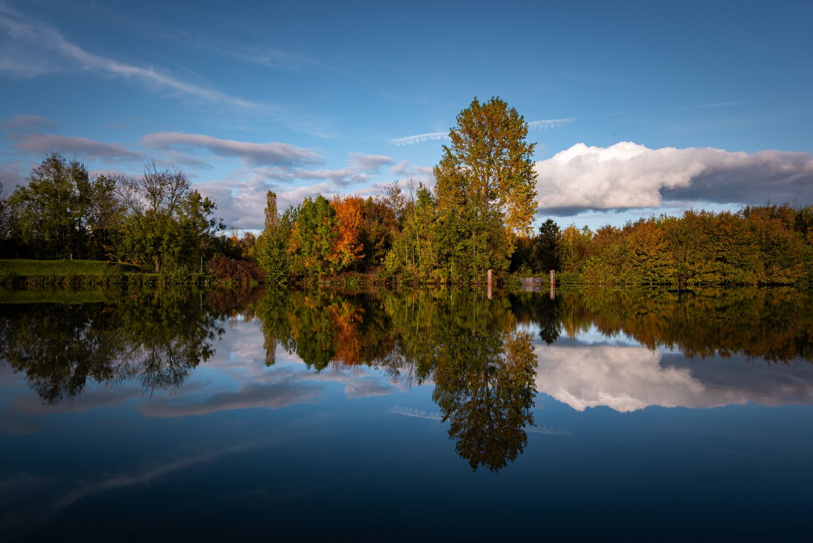 Nikon D750 sample photo. Reflections, fall, nature photography