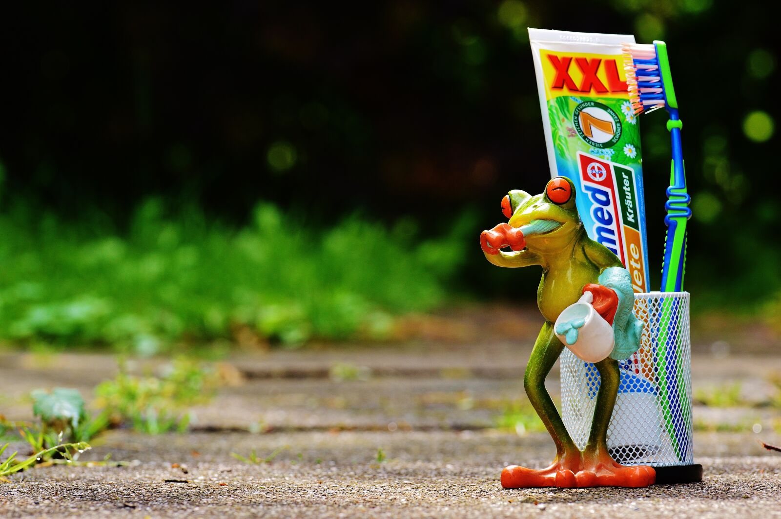 Nikon D3200 sample photo. Toothpaste, frog, toothbrush photography