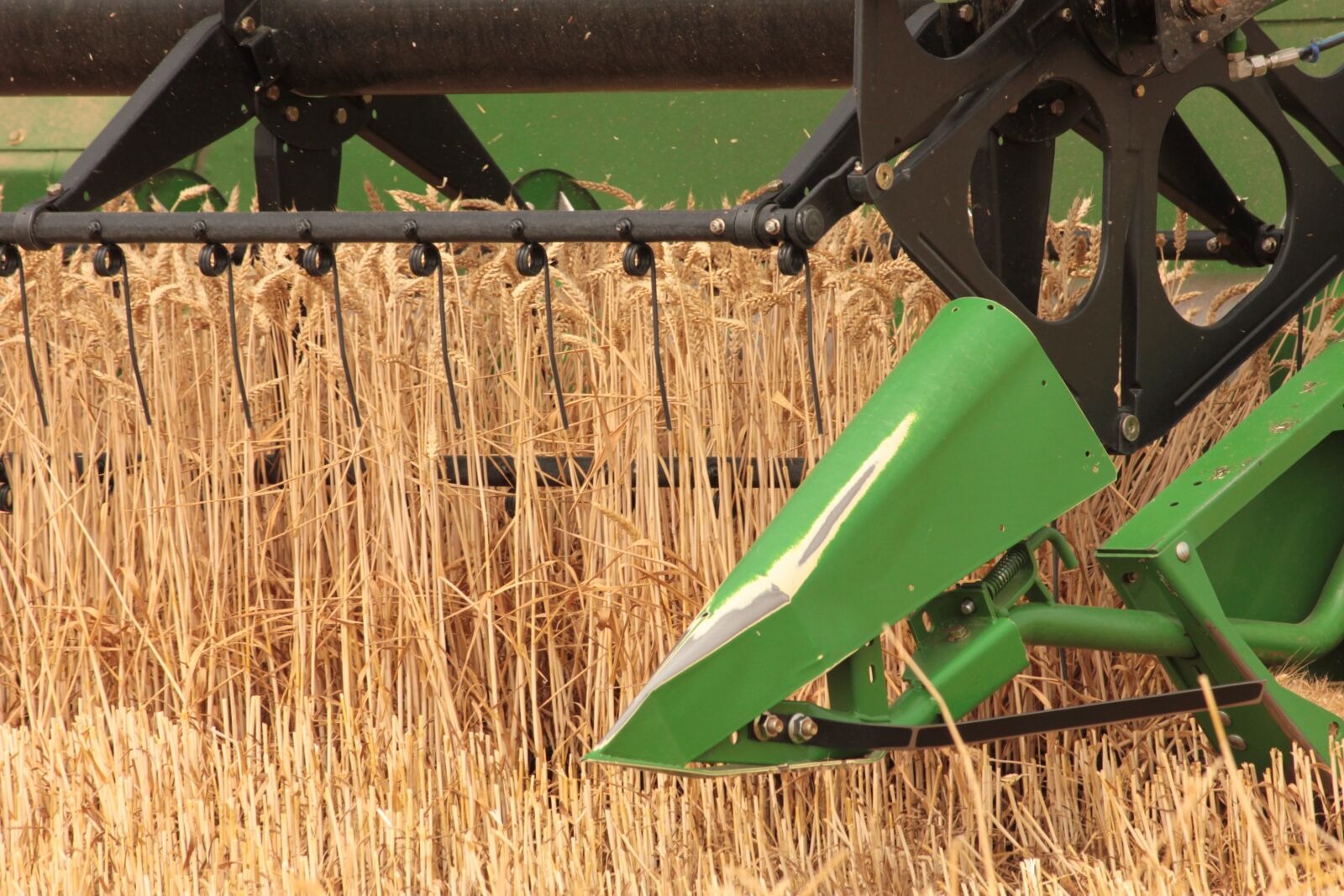 Canon EOS 550D (EOS Rebel T2i / EOS Kiss X4) sample photo. Wheat, harvest, agriculture photography