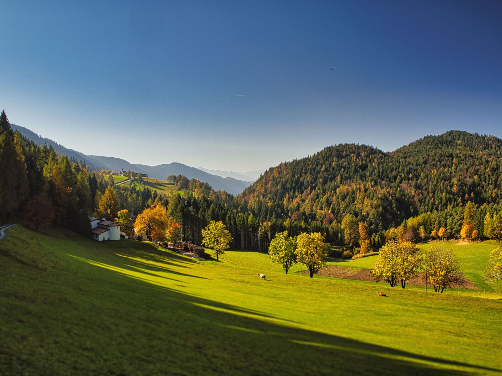 Olympus OM-D E-M10 III sample photo. Dolomites, gfrill, salorno photography