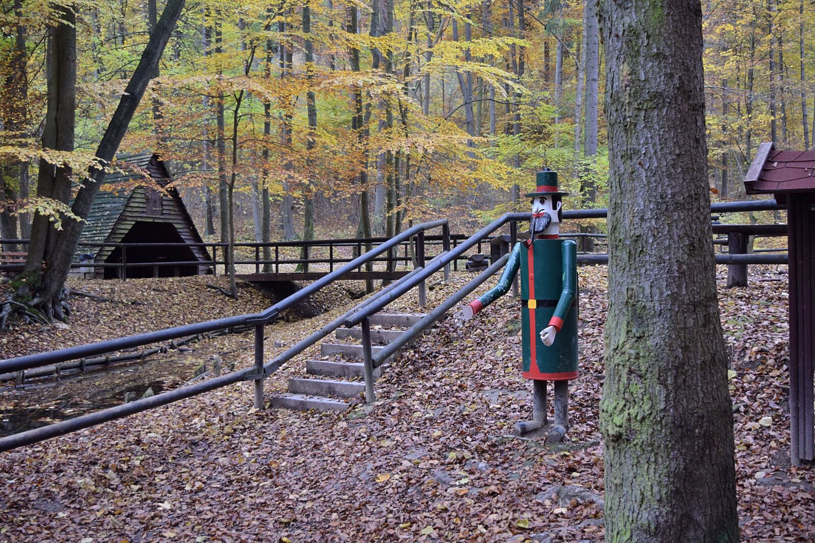 Nikon D3300 sample photo. Forest, forester, autumn forest photography