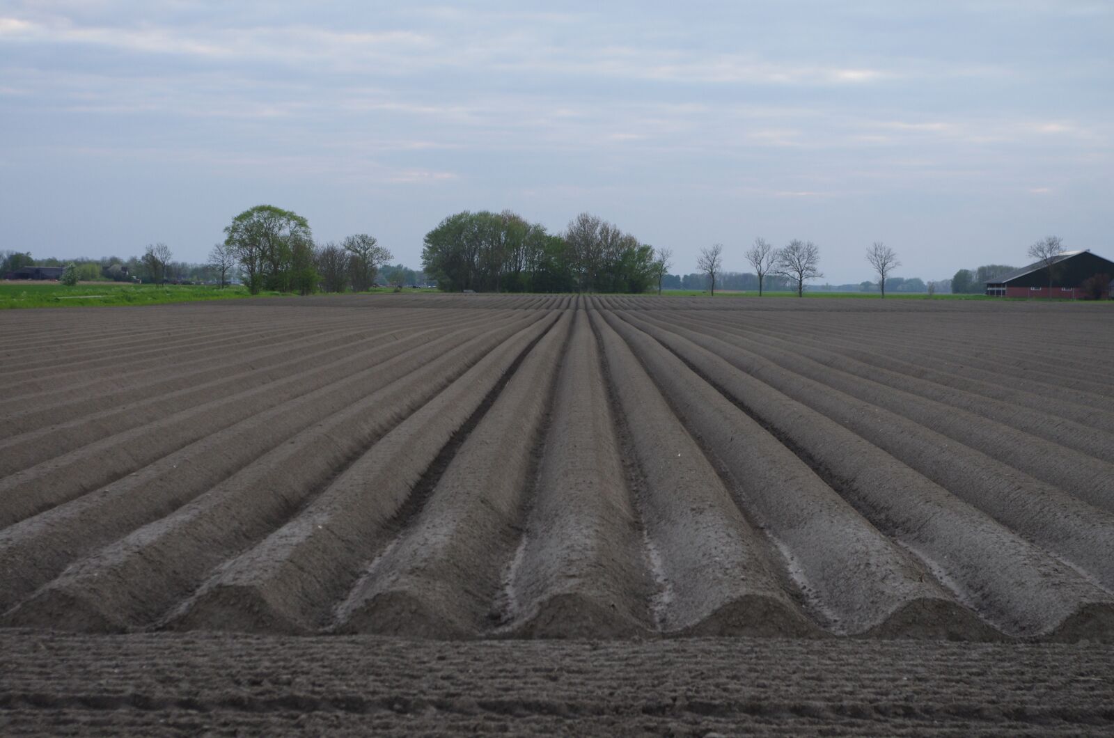 Pentax K-5 sample photo. Farming, field, rows photography