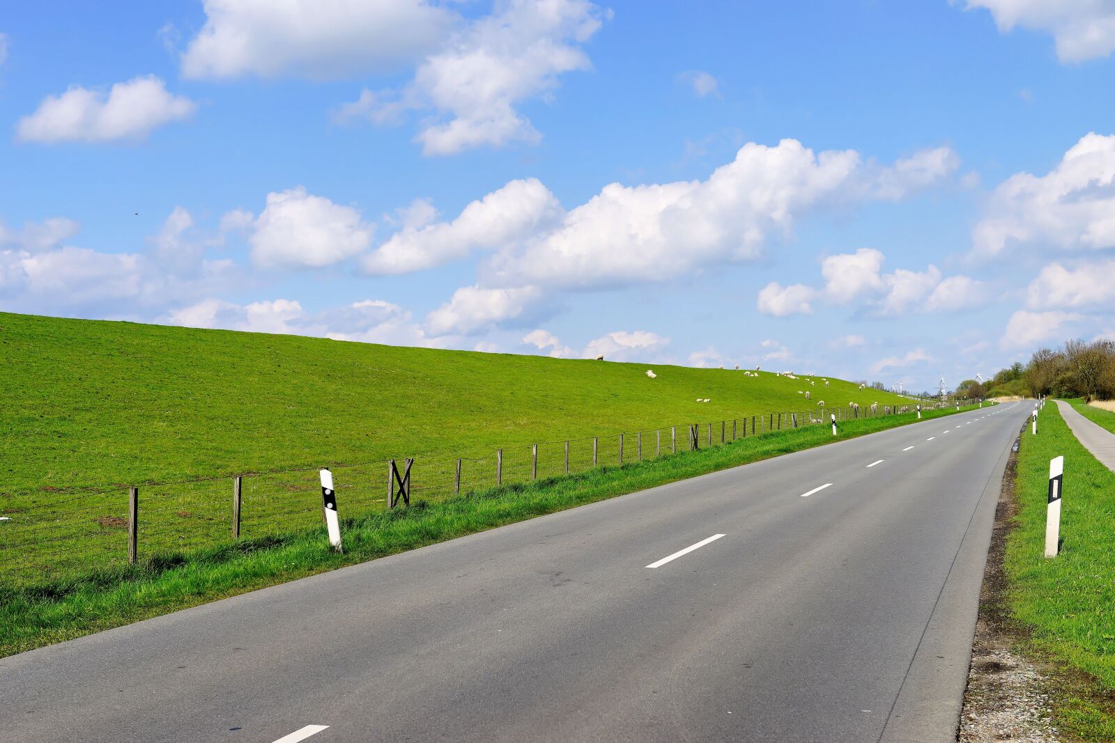 Sony a99 II sample photo. Road, dike, east frisia photography