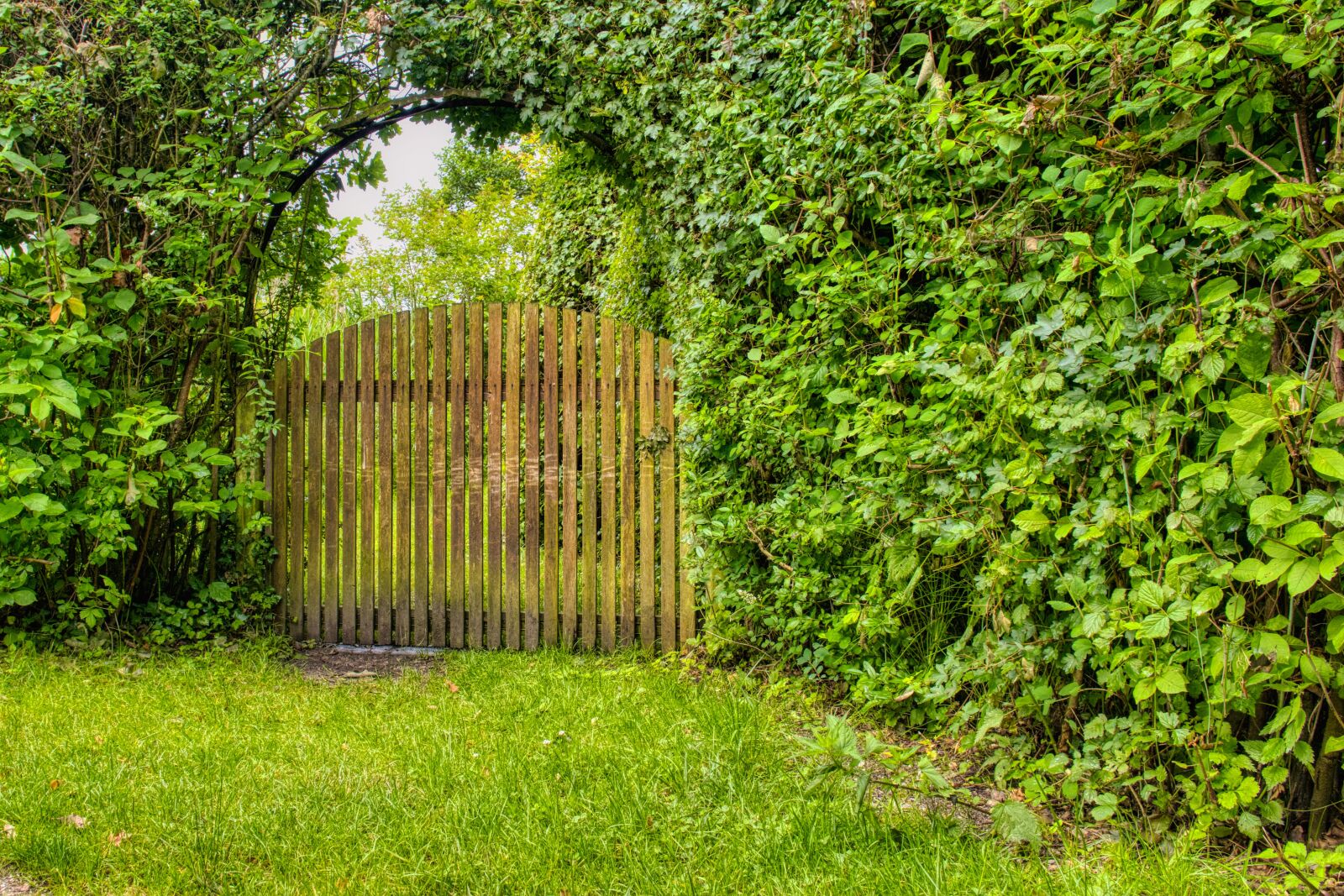 Nikon D7500 sample photo. Garden gate, wood, goal photography