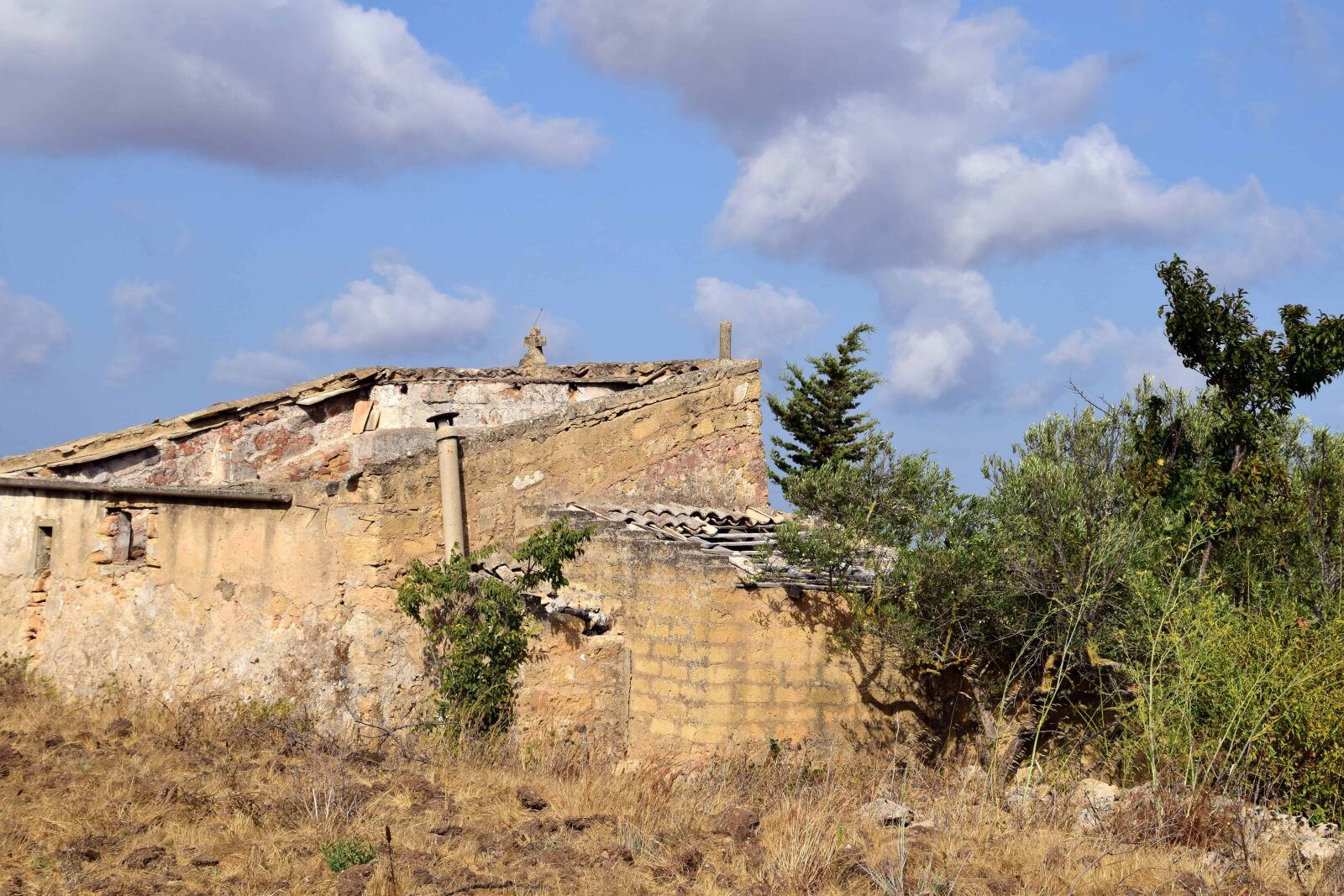 Nikon D3300 sample photo. Tree, abandoned, exterior, old photography