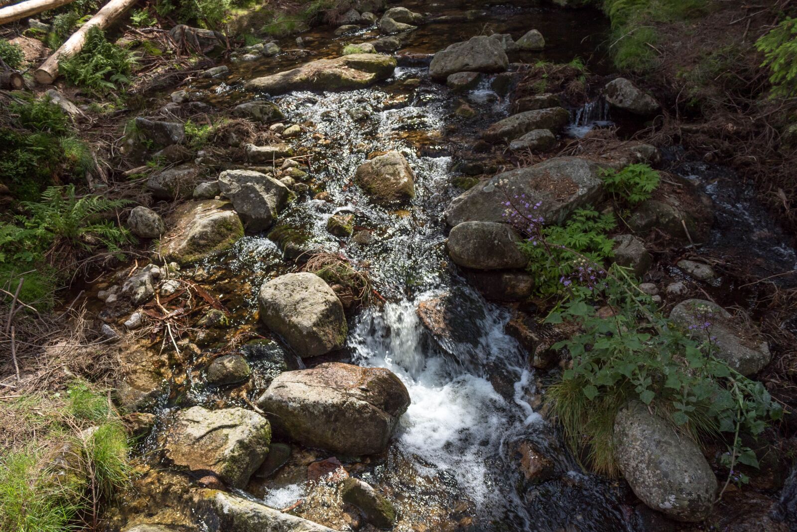 Canon EOS 1300D (EOS Rebel T6 / EOS Kiss X80) sample photo. Nature, river, waterfall photography