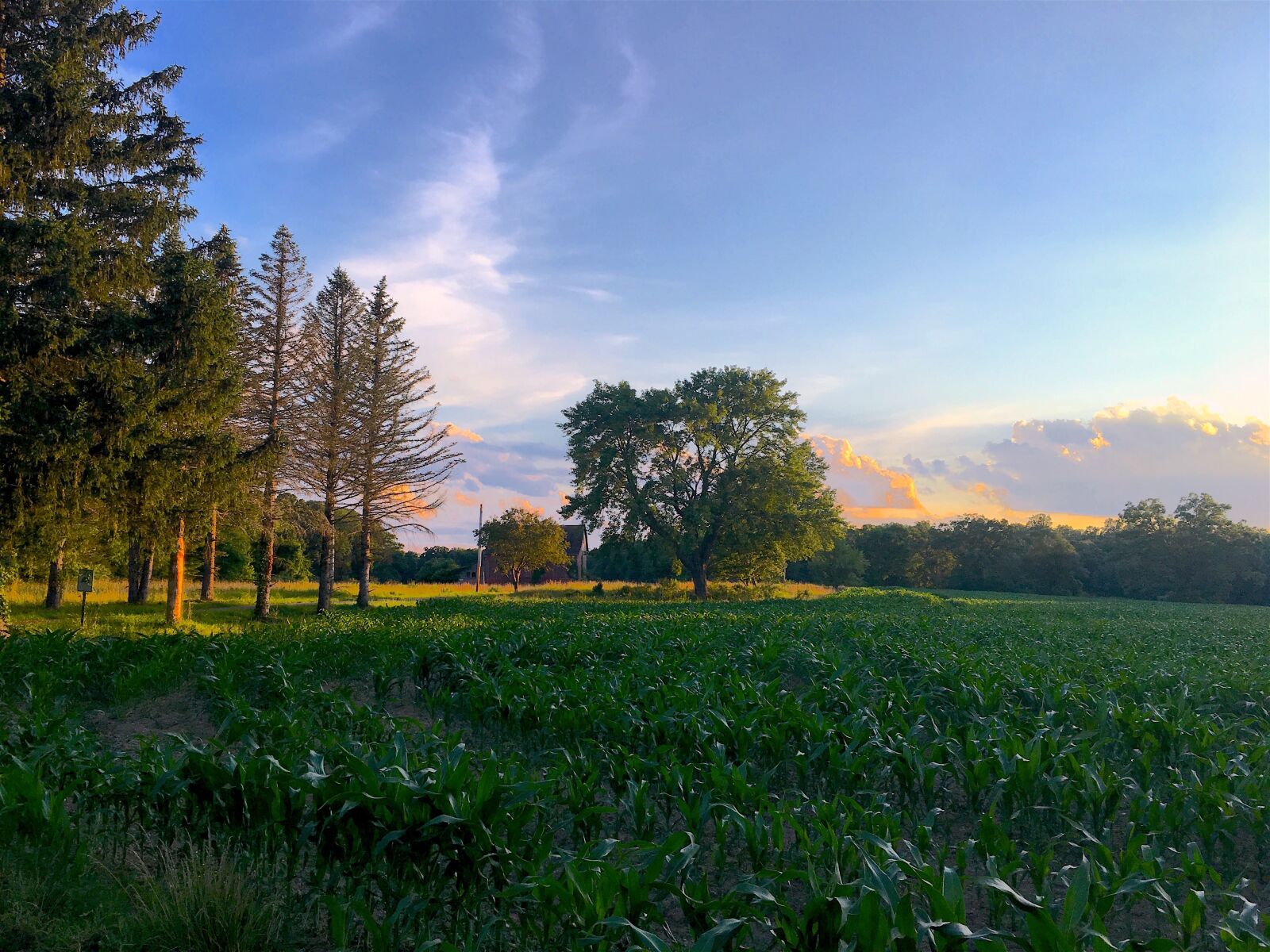 Apple iPhone 6s sample photo. Field, farm, sunset photography