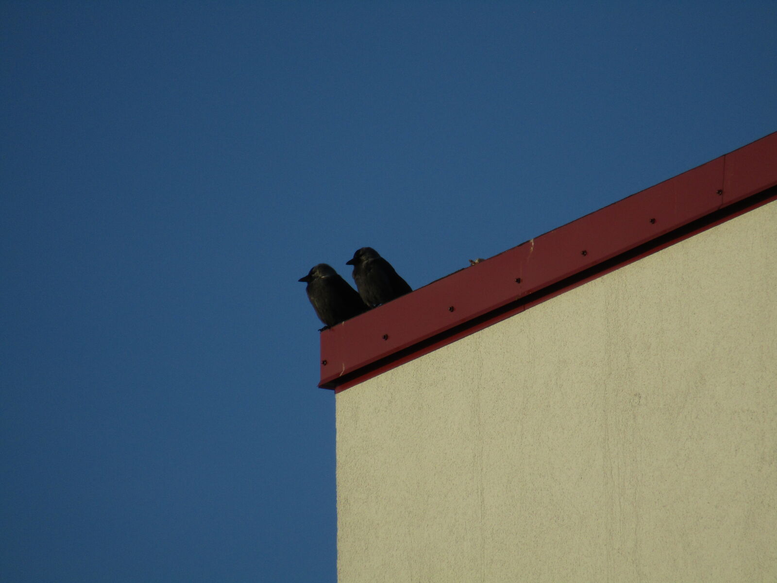 Canon PowerShot SX420 IS sample photo