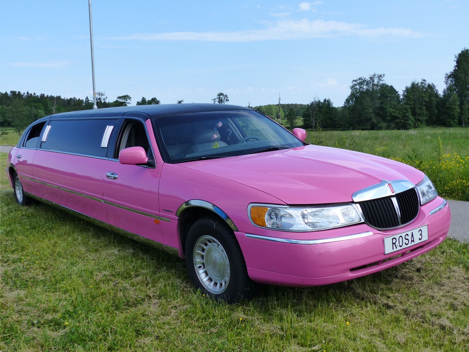 Panasonic Lumix DMC-FZ200 sample photo. Limo, car, pink photography