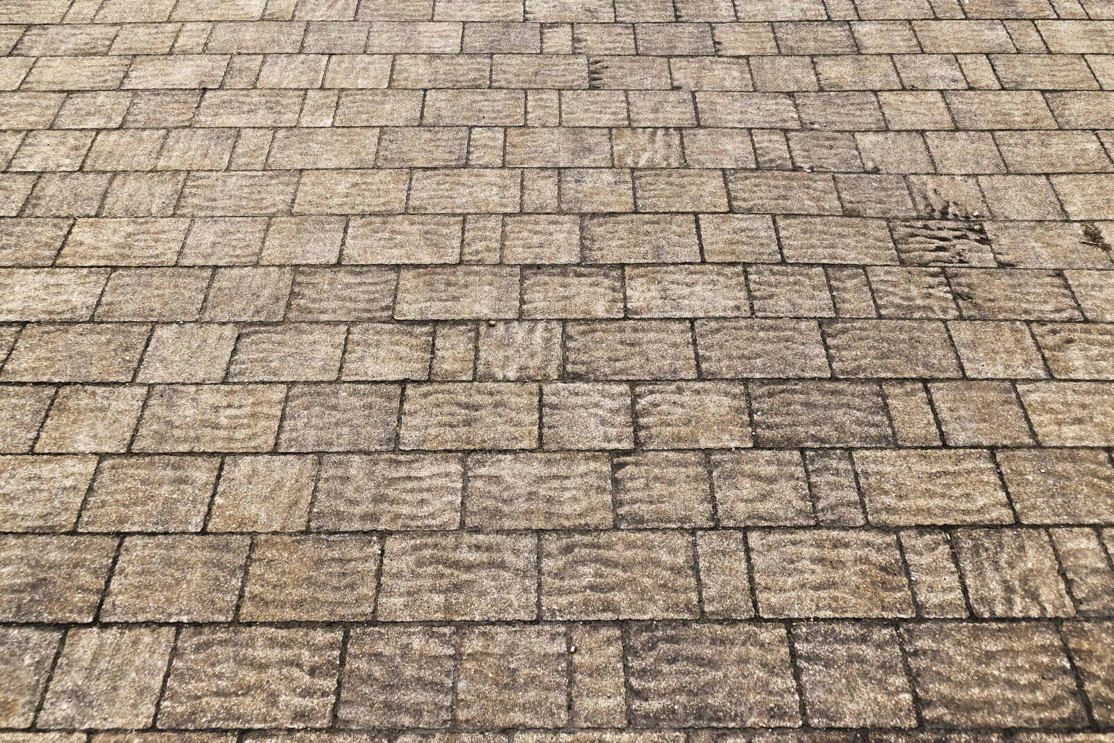 Panasonic Lumix DMC-FZ1000 sample photo. Patch, flooring, paving stones photography