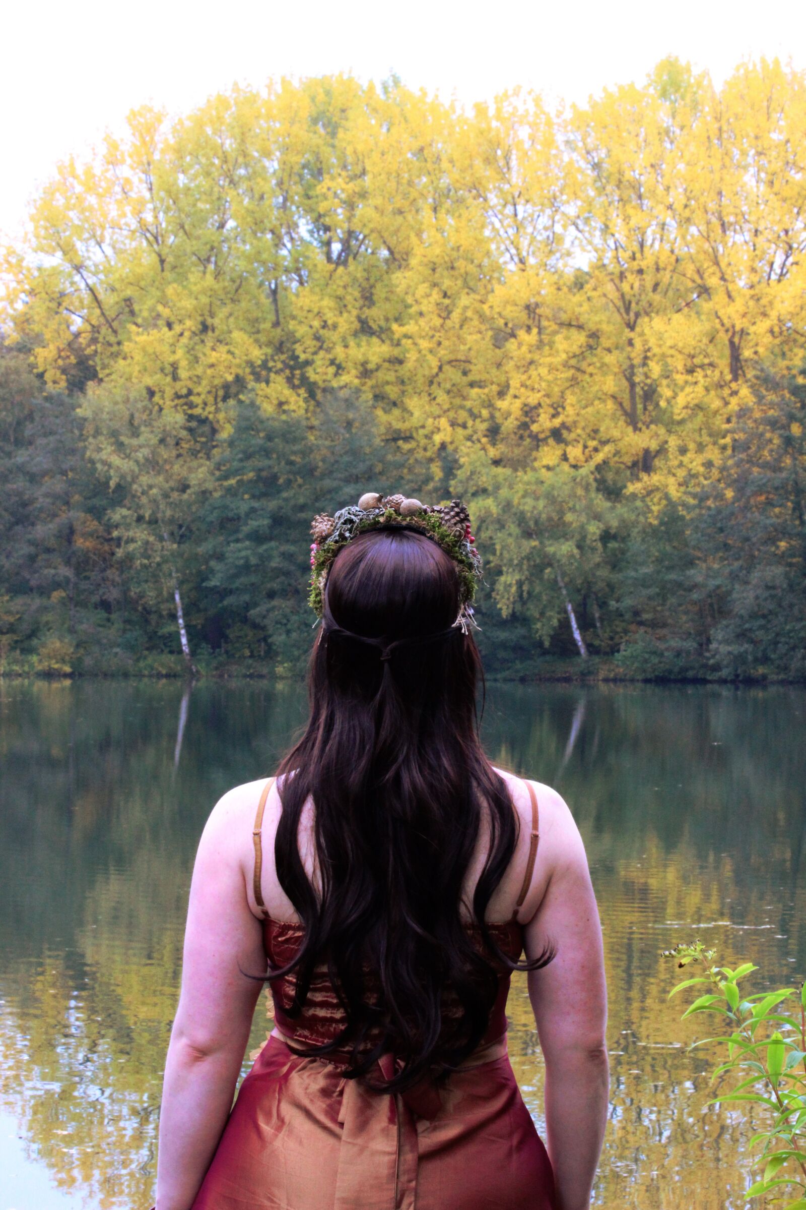 Canon EOS 600D (Rebel EOS T3i / EOS Kiss X5) sample photo. Autumn, fee, tree photography