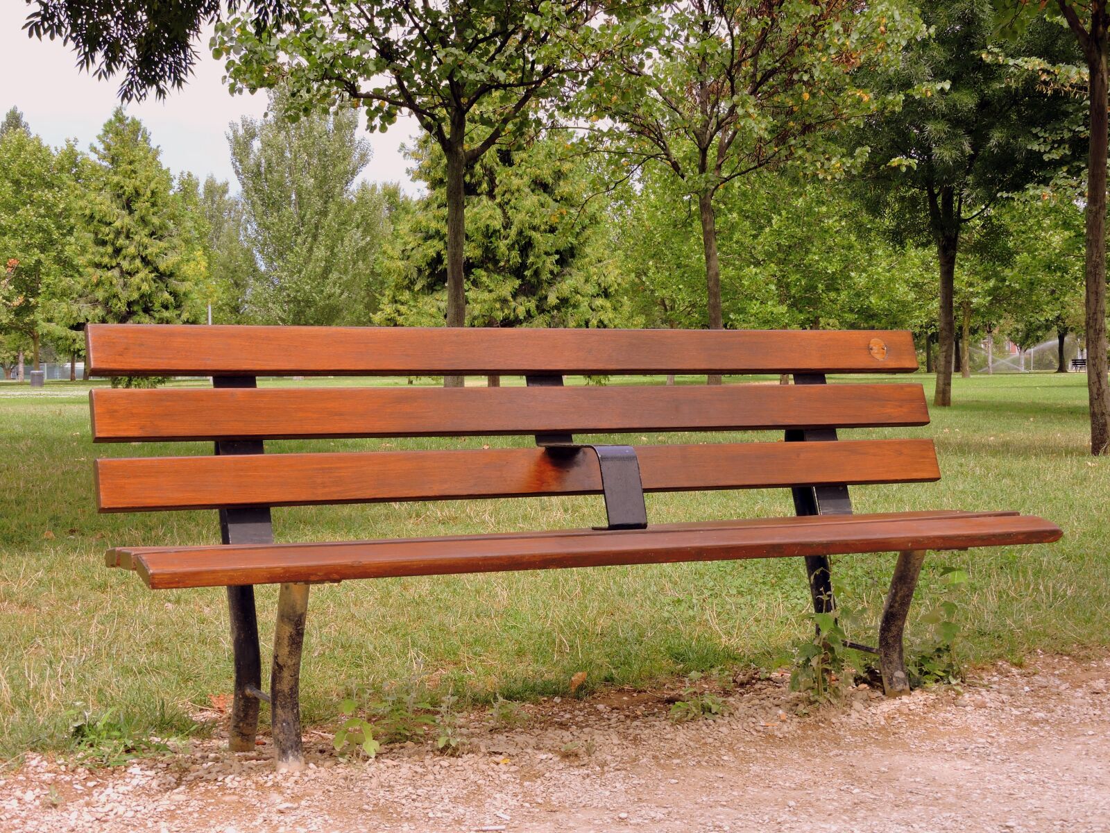 Nikon Coolpix P600 sample photo. Bench, park, garden photography