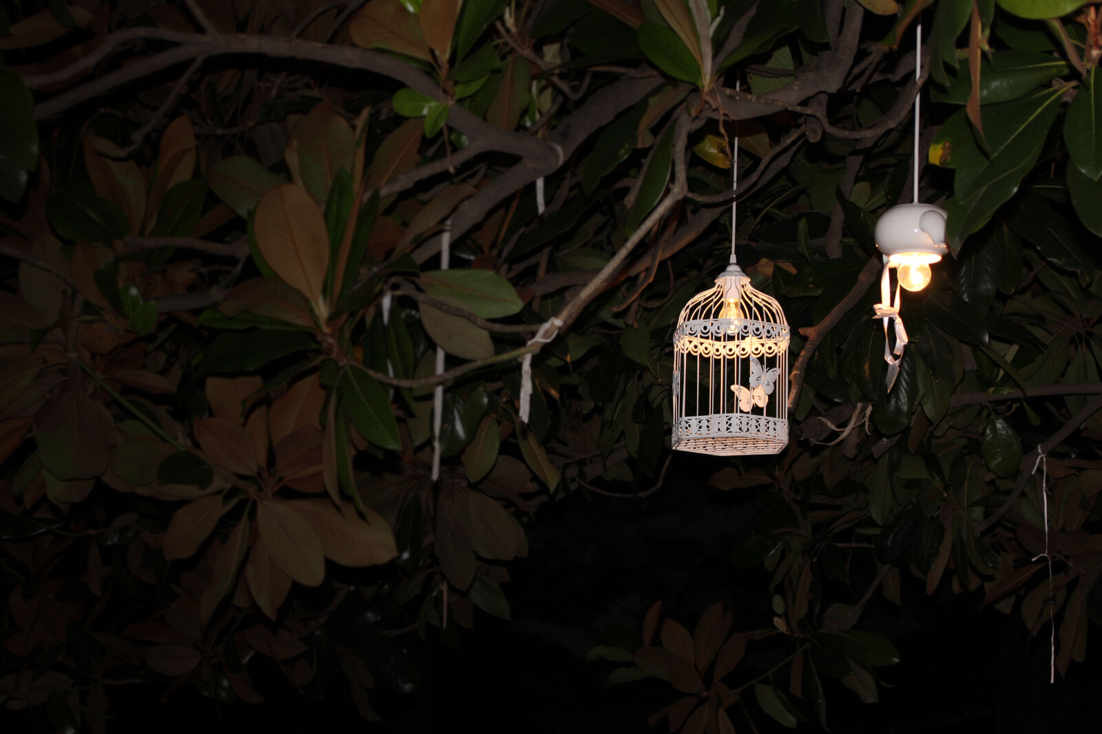 Canon EOS 550D (EOS Rebel T2i / EOS Kiss X4) sample photo. Composition, electric, light, lamp photography