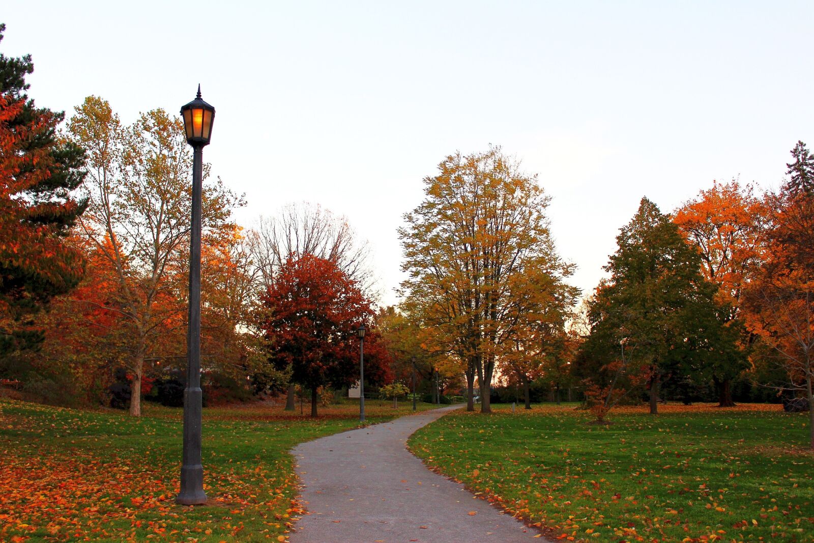 Canon EOS 700D (EOS Rebel T5i / EOS Kiss X7i) sample photo. Autumn alley, nature, tree photography