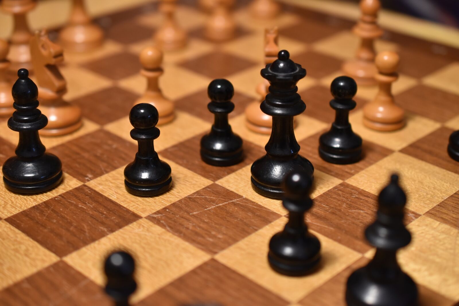 Nikon D5600 sample photo. Black, white, chess photography