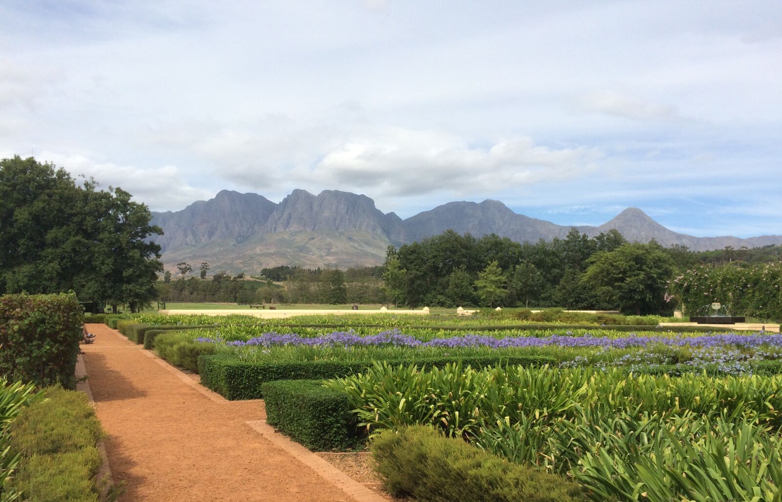 iPhone 5s back camera 4.15mm f/2.2 sample photo. South africa, wine, winery photography