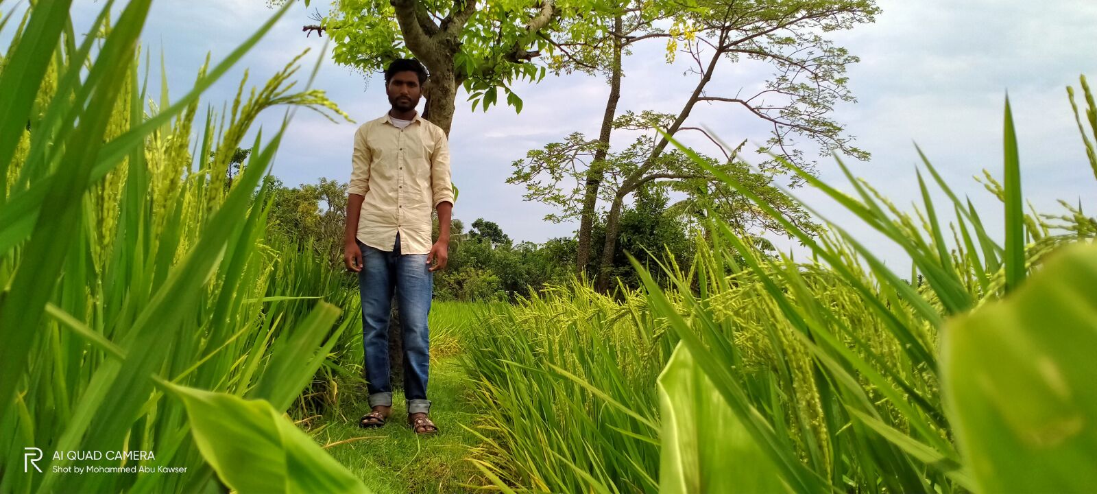 Realme 5I sample photo. Boy, green, background photography