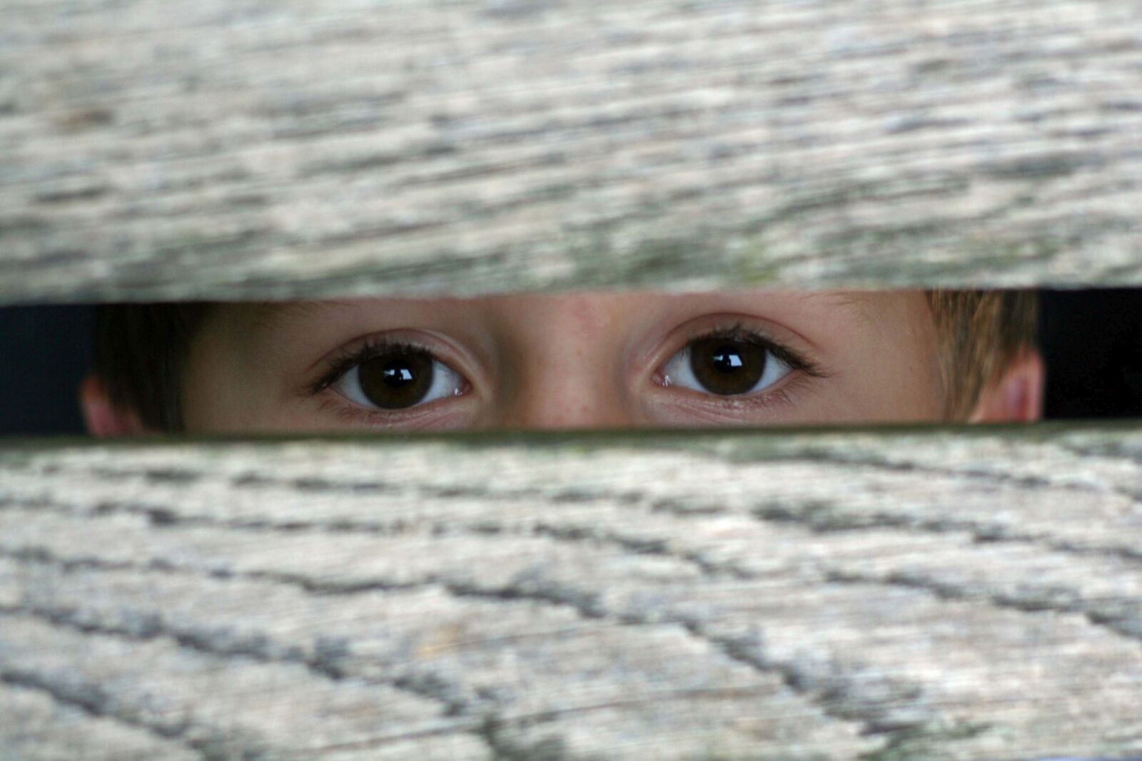 Canon EOS 350D (EOS Digital Rebel XT / EOS Kiss Digital N) sample photo. Eyes, by looking, see photography