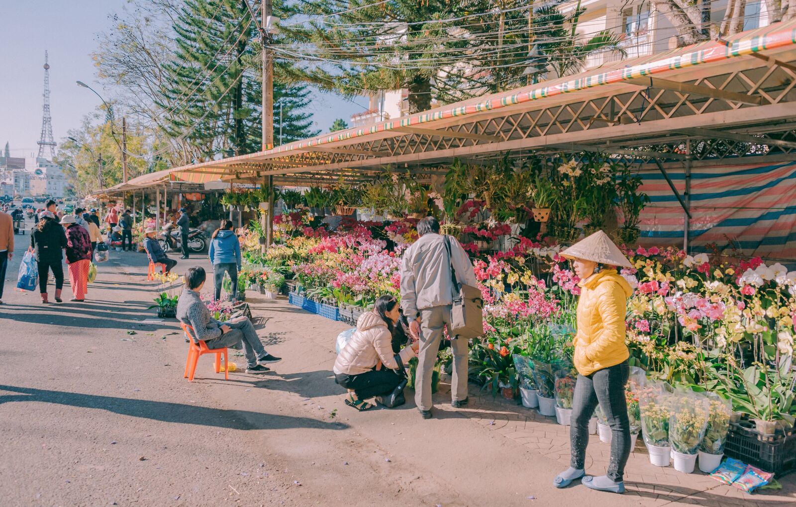 Nikon D700 sample photo. Landscape, travel, nature photography