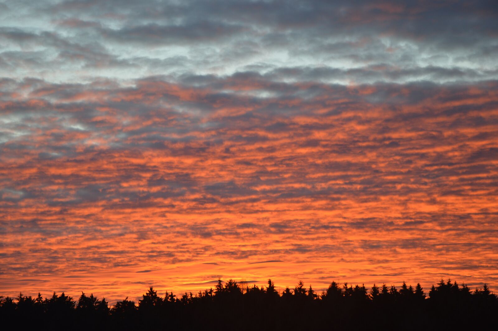 Nikon D3200 sample photo. Dawn, evening, evening sky photography