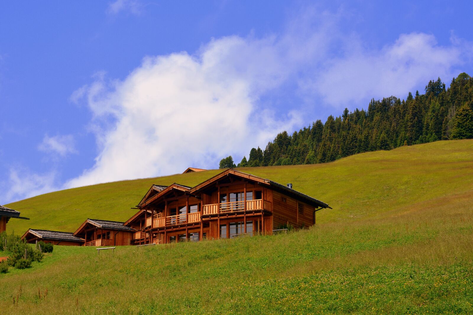 Nikon D7100 sample photo. Alm, house, mountain photography