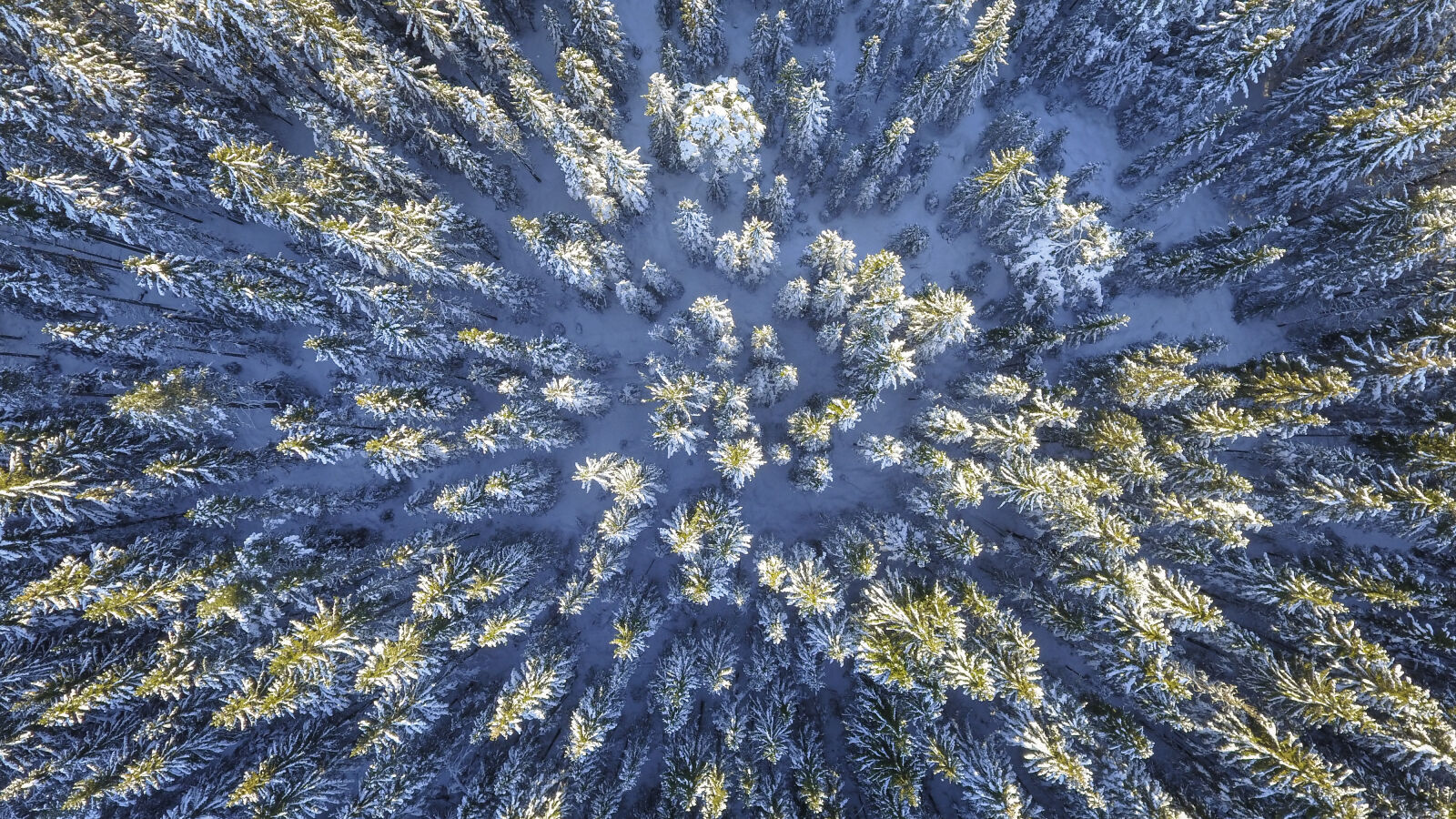 DJI FC330 sample photo. Above, aerial, bright, cold photography