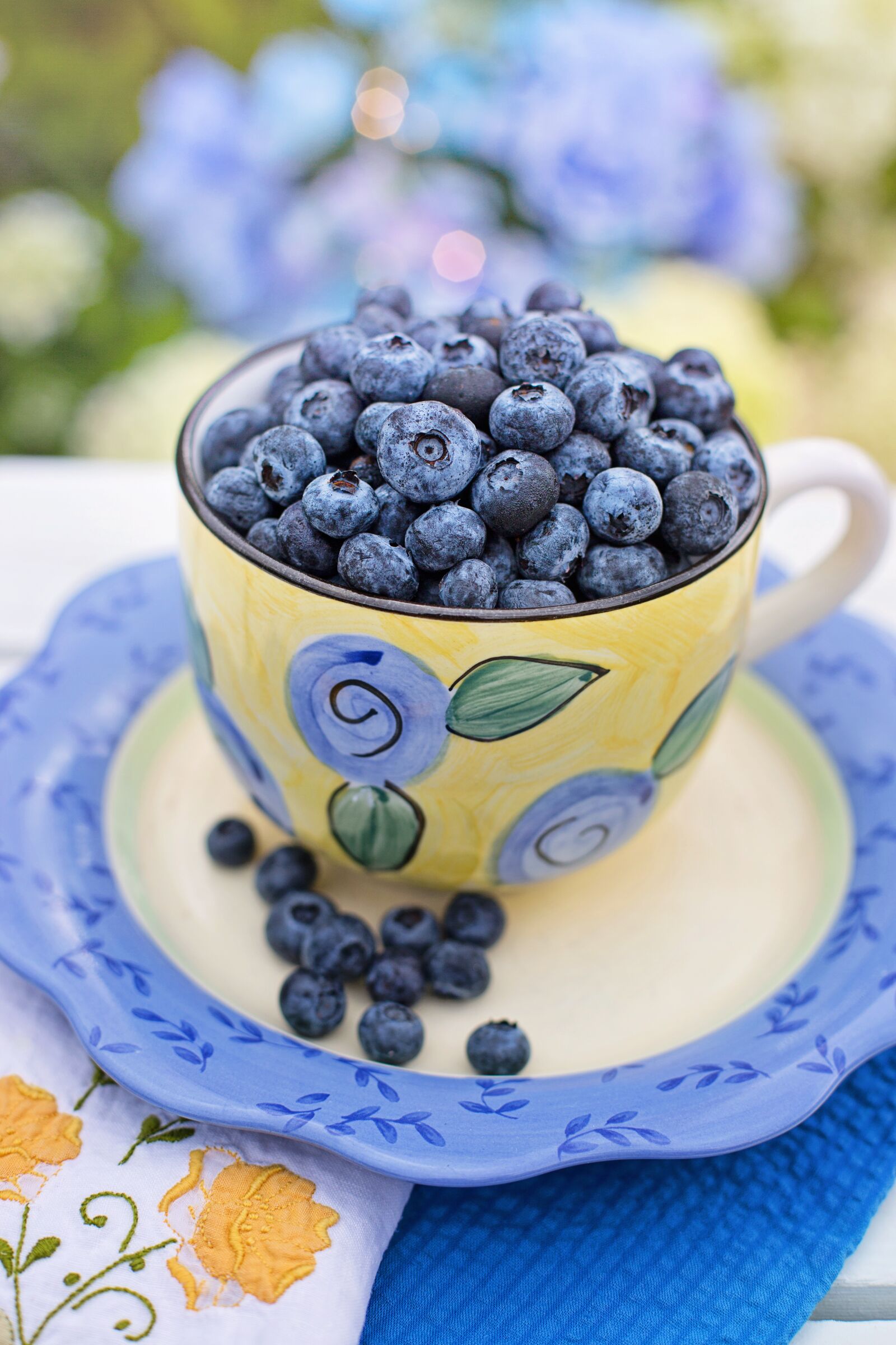Canon EF 50mm F1.4 USM sample photo. Blueberries, breakfast, fruit photography